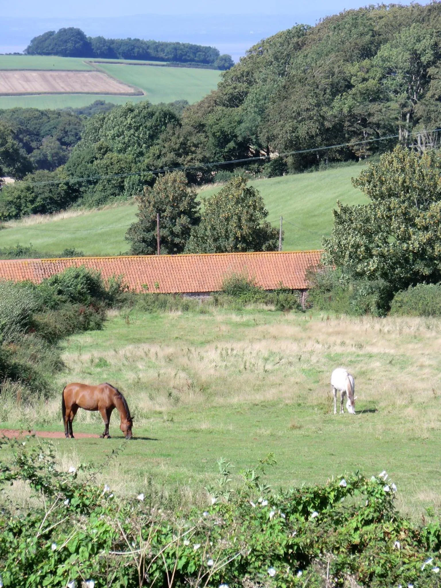 Natural landscape in Castle Of Comfort Hotel