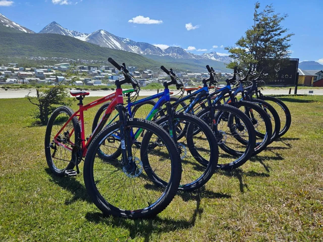 Natural landscape in Los Ñires Ushuaia