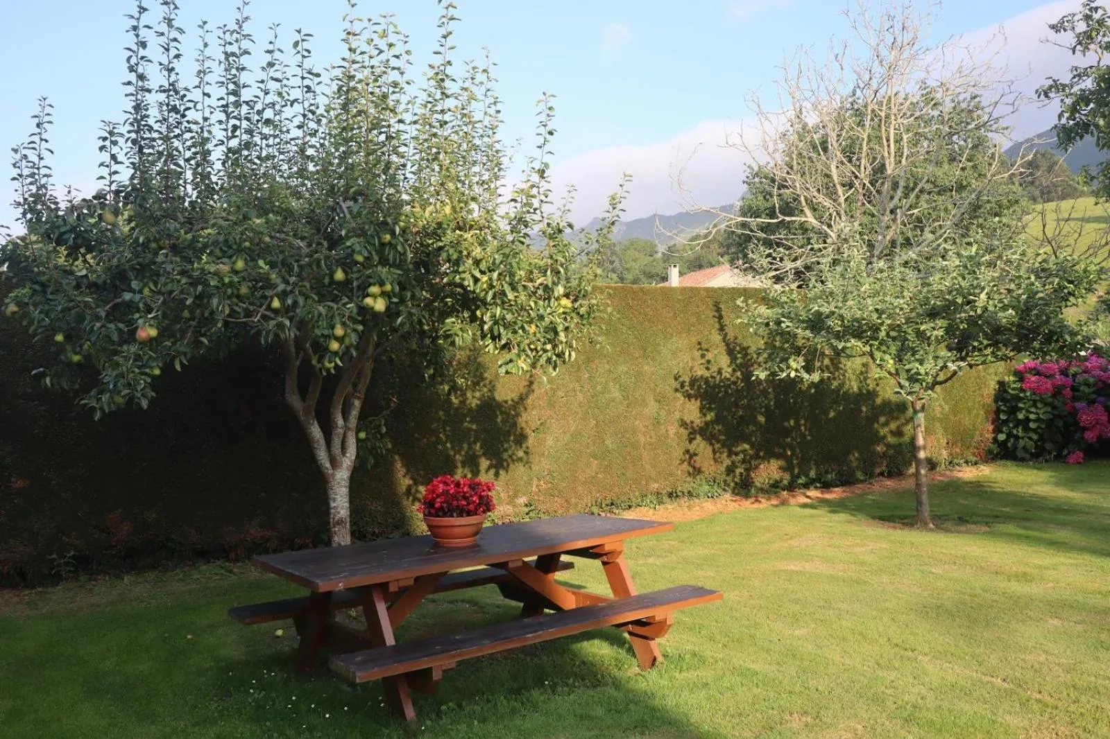 Garden in Casa de Aldea El Frade