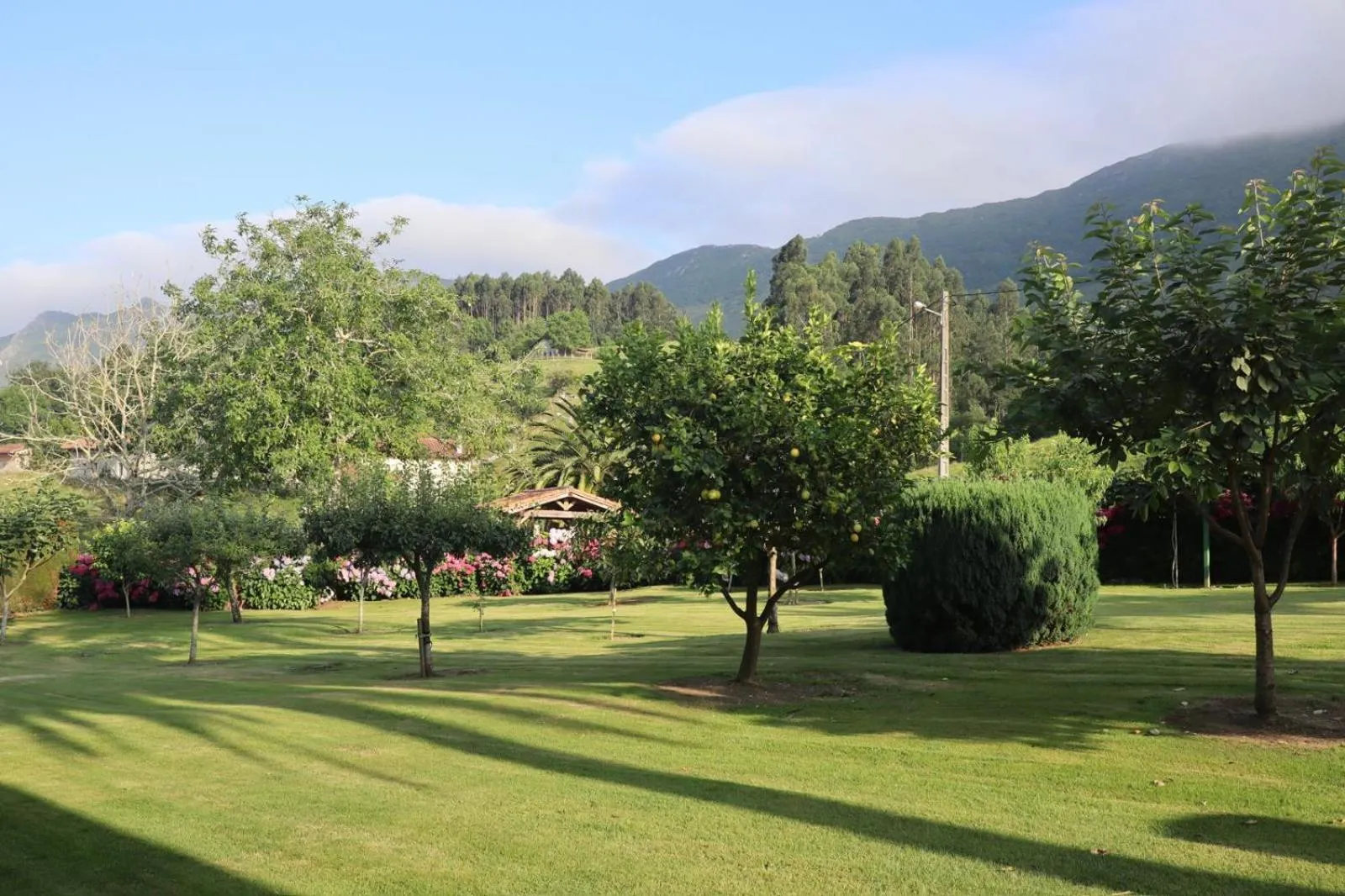 Garden in Casa de Aldea El Frade
