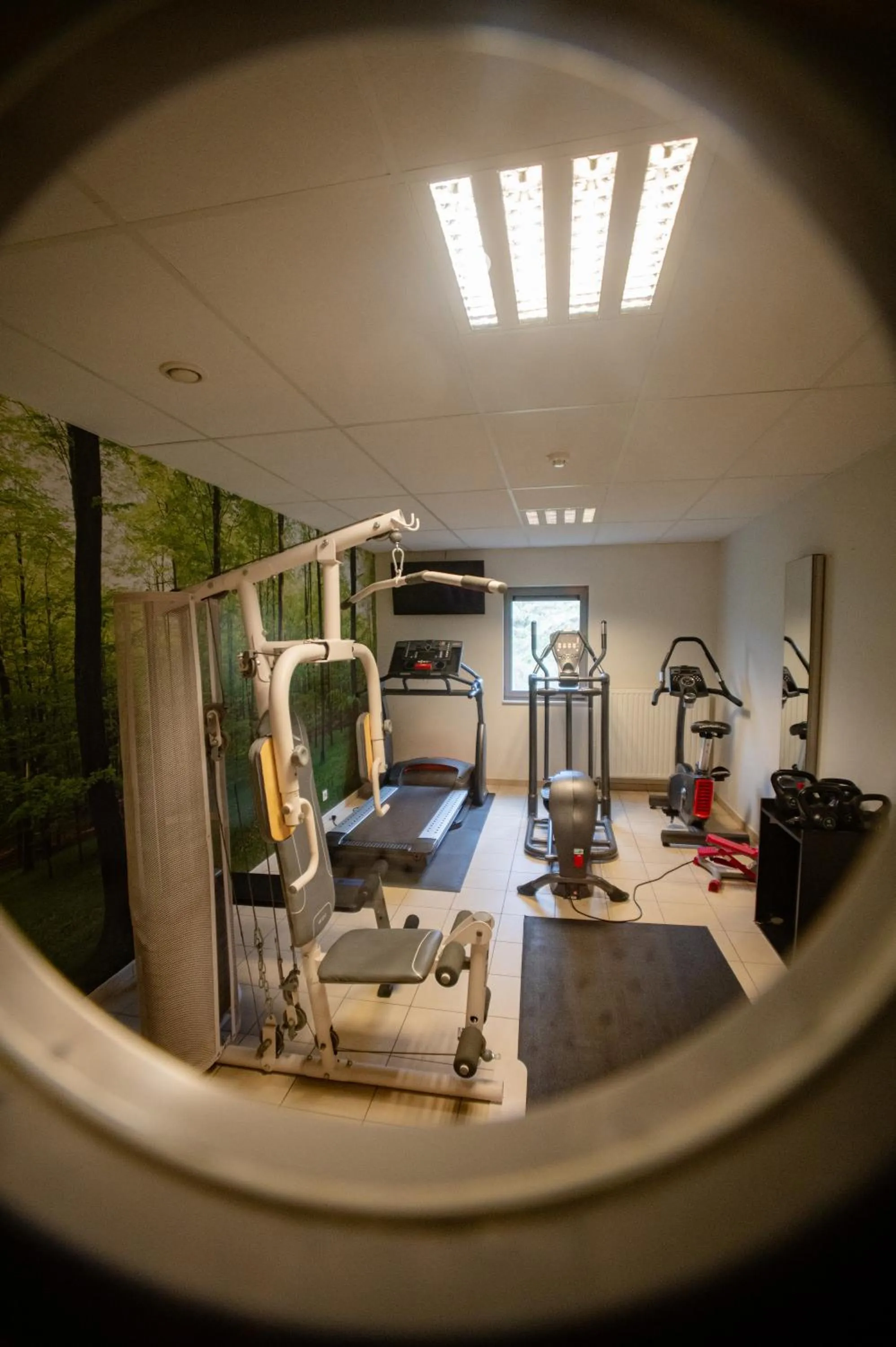 Fitness centre/facilities in Hotel-Restaurant Horizon Ath-Lessines