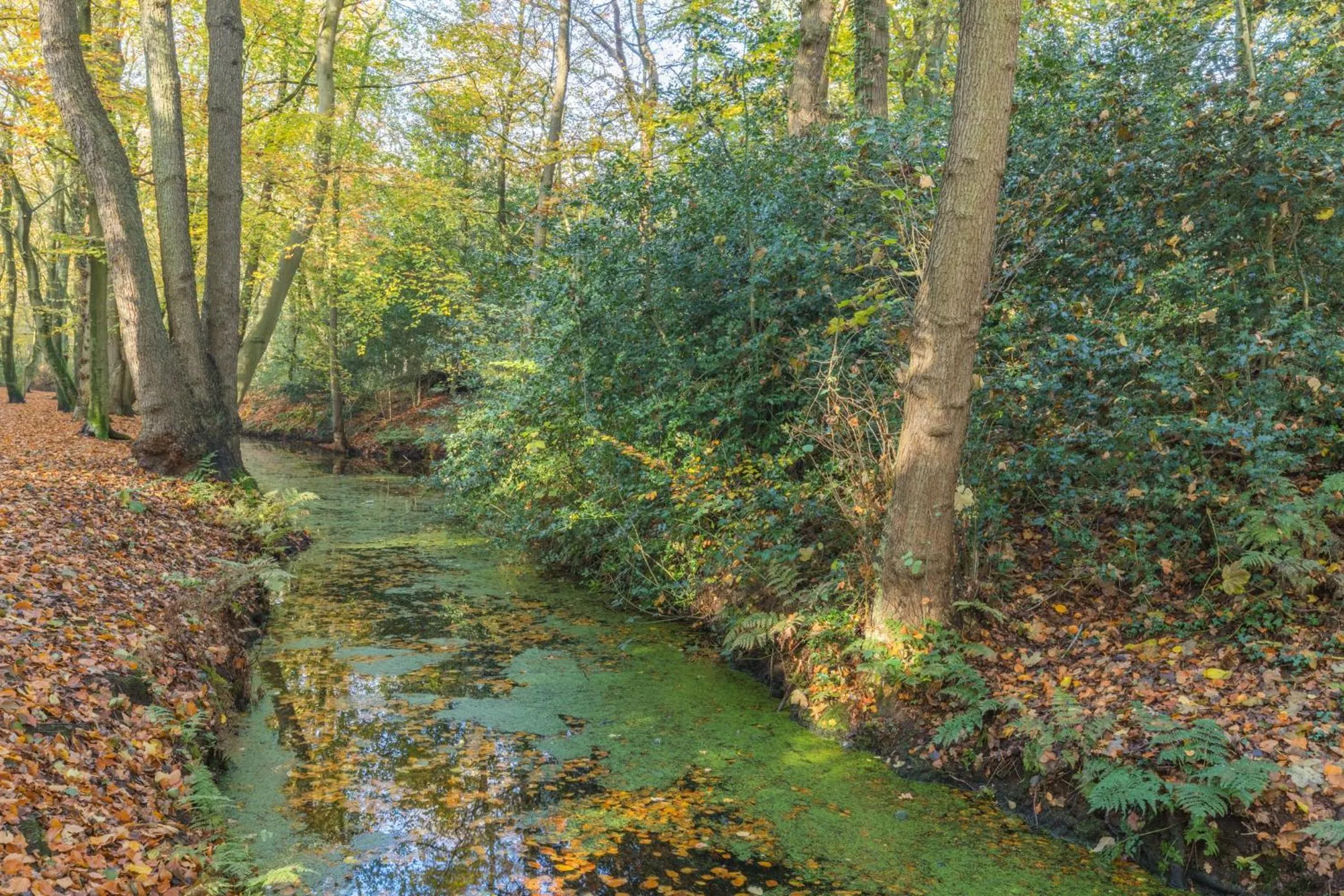 Natural landscape in Hotel Zee Bergen