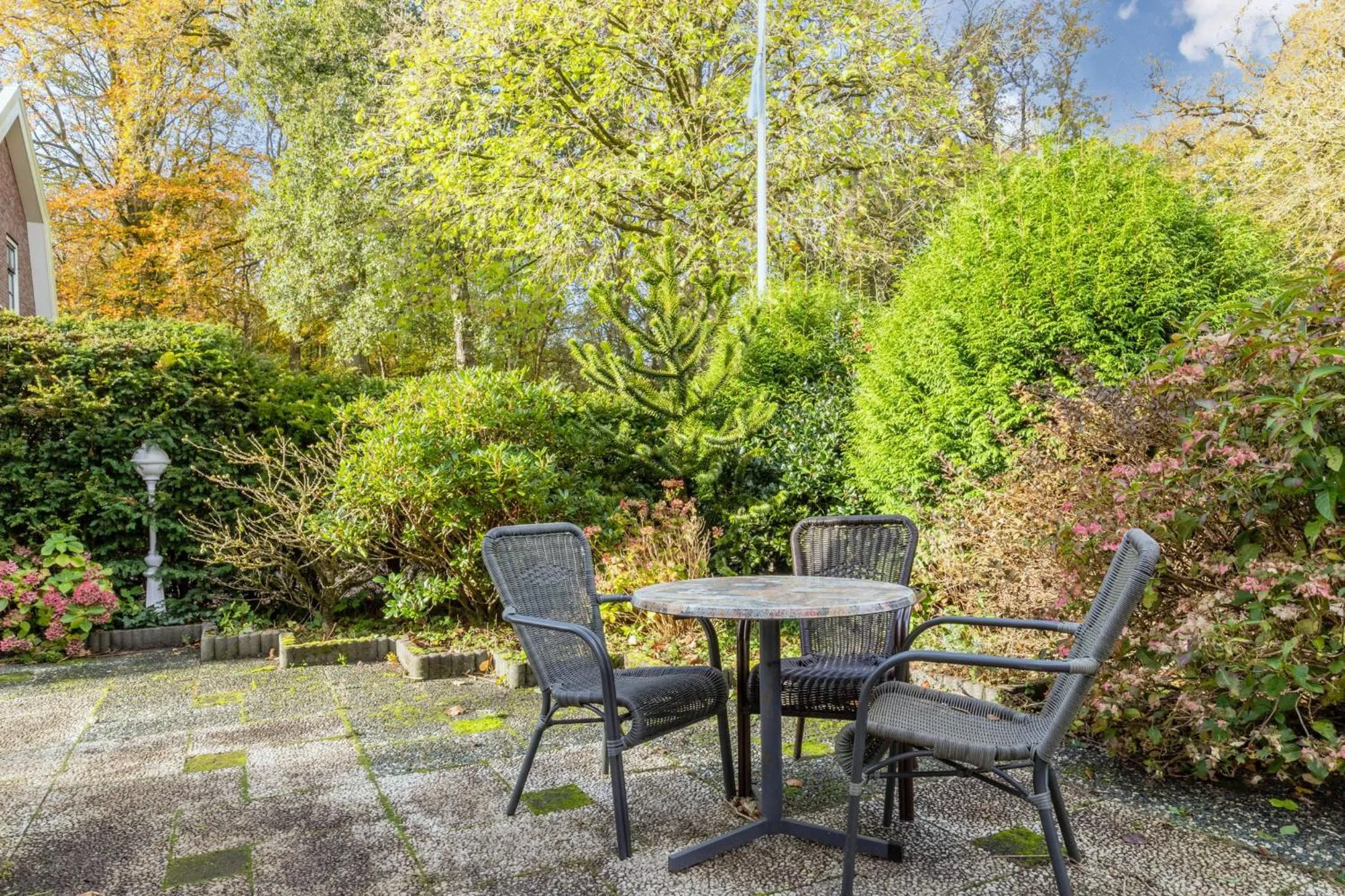 Balcony/Terrace in Hotel Zee Bergen