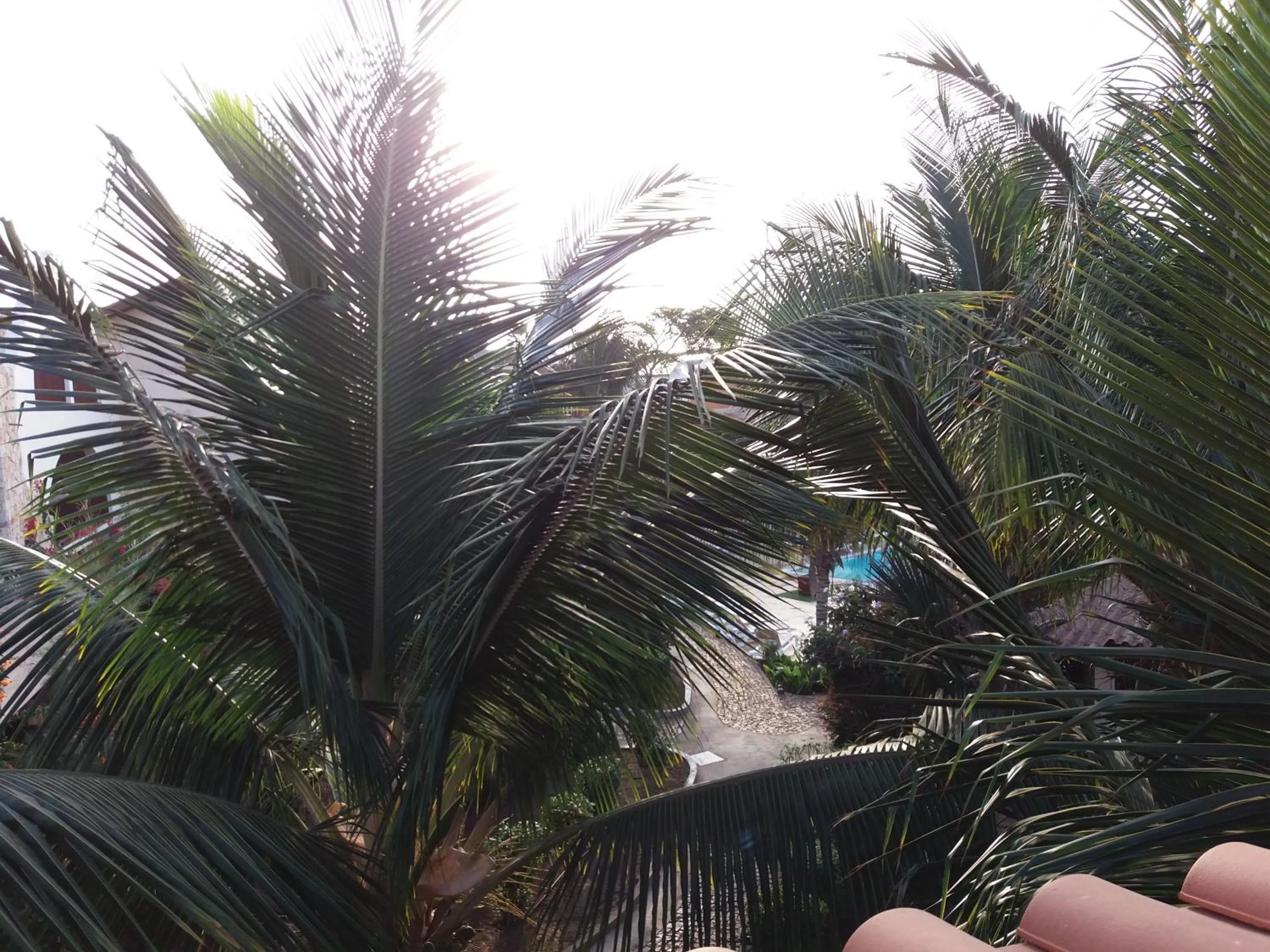 Fishing in Porto Antigo Holidays