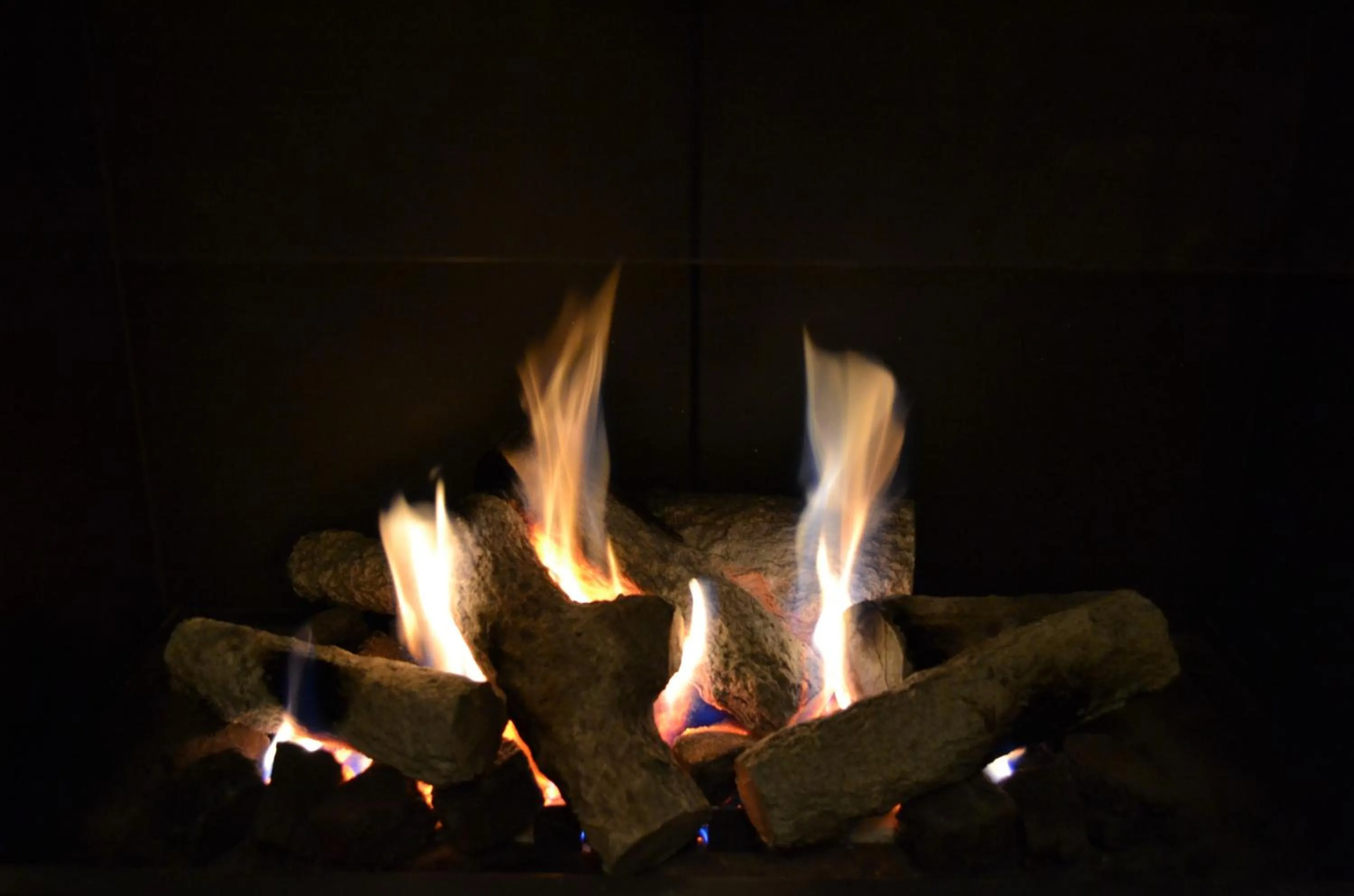 Decorative detail in Hotel Ter Polders