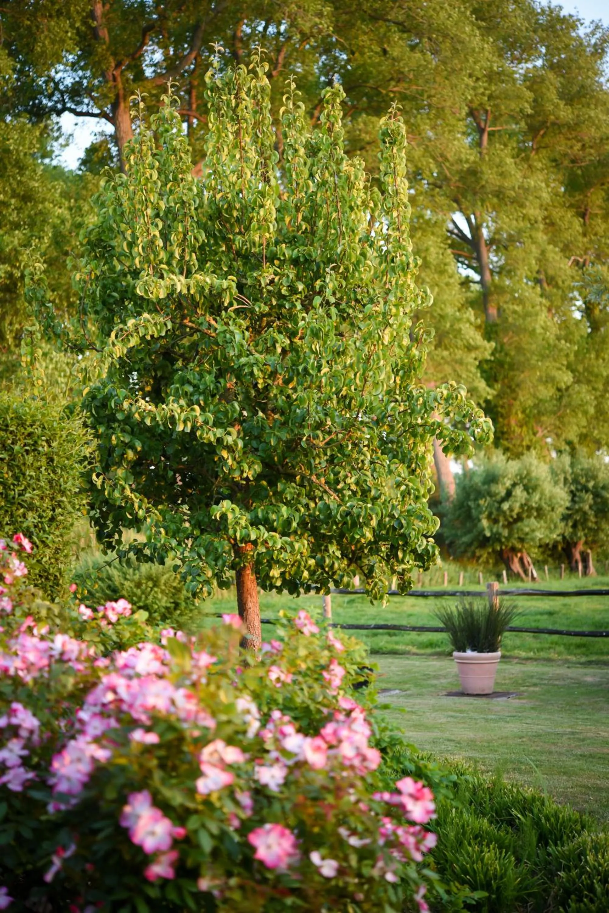 Natural landscape in Hotel Ter Polders