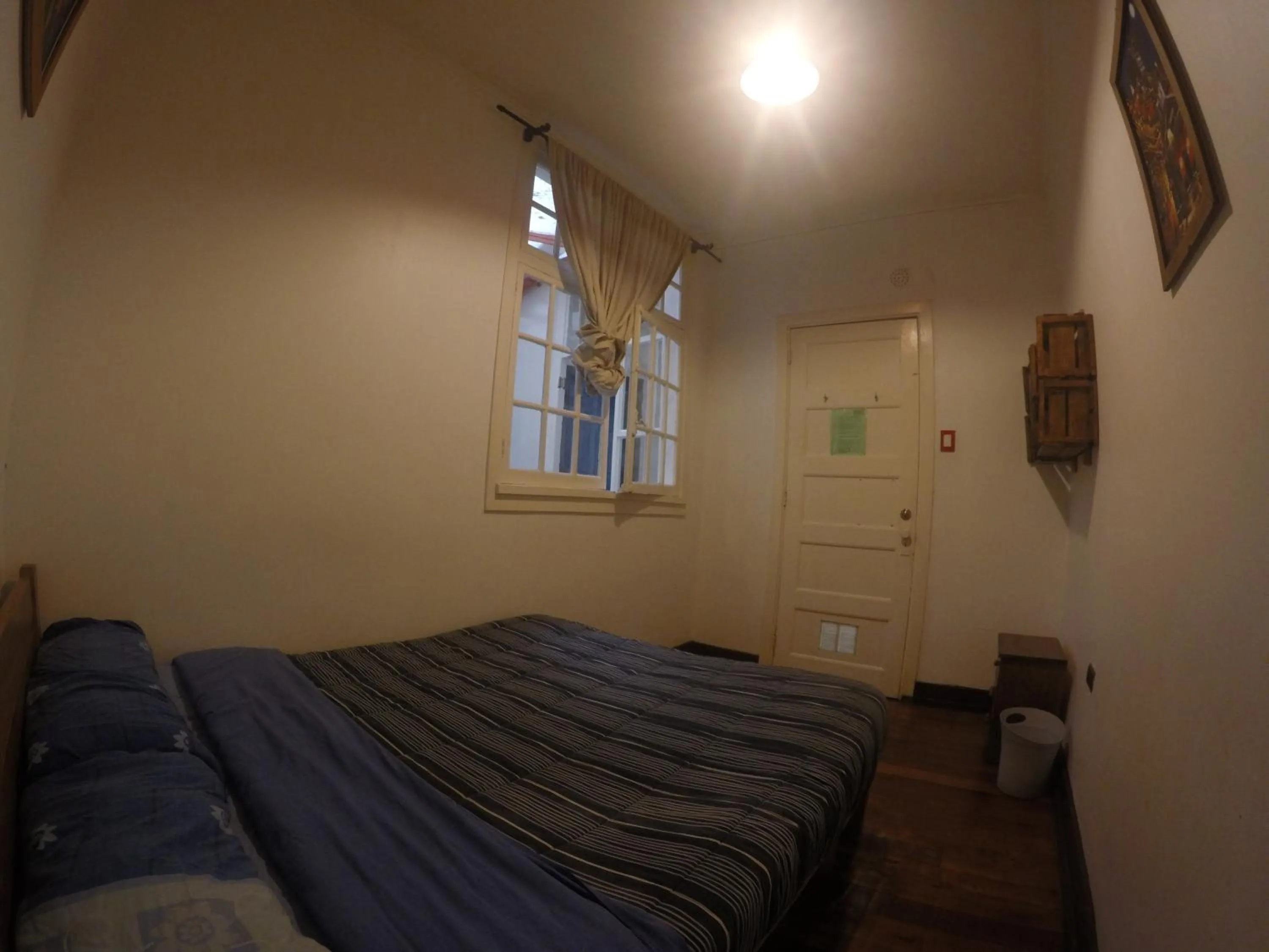 Classic Double Room in Lemuria Hostel