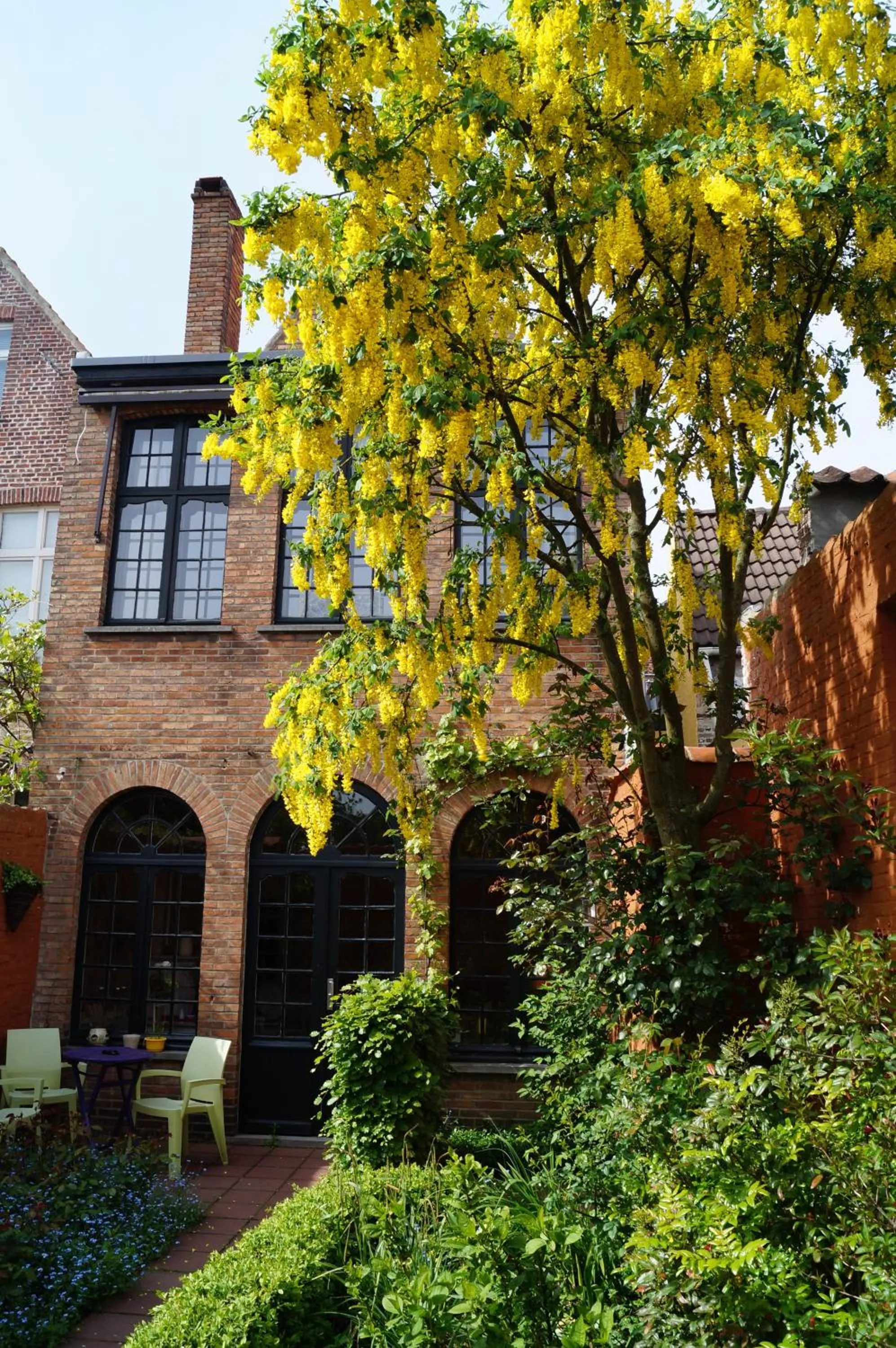 Patio in B&B Next Door