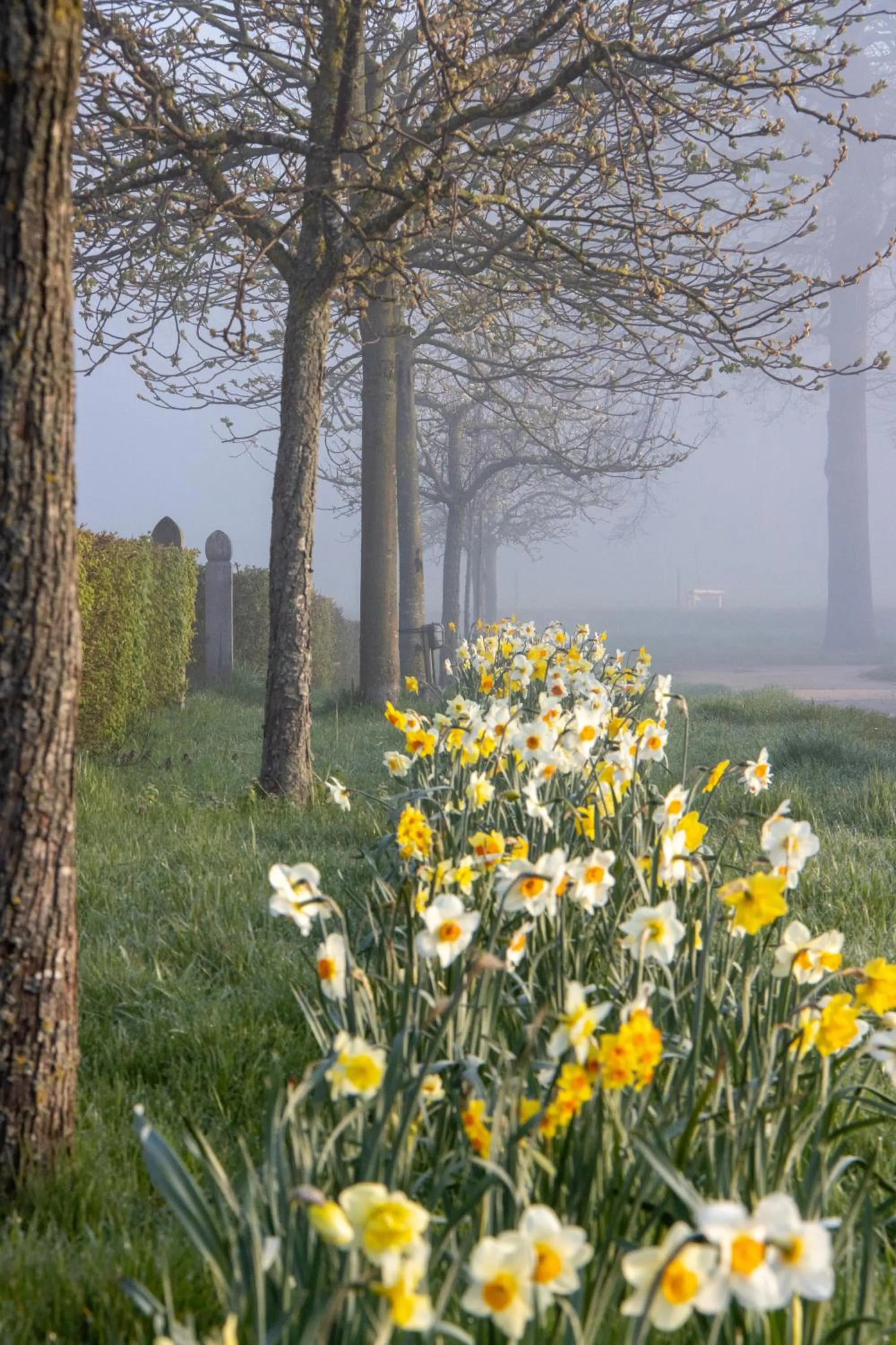 B&B Kasteelhoeve de Kerckhem