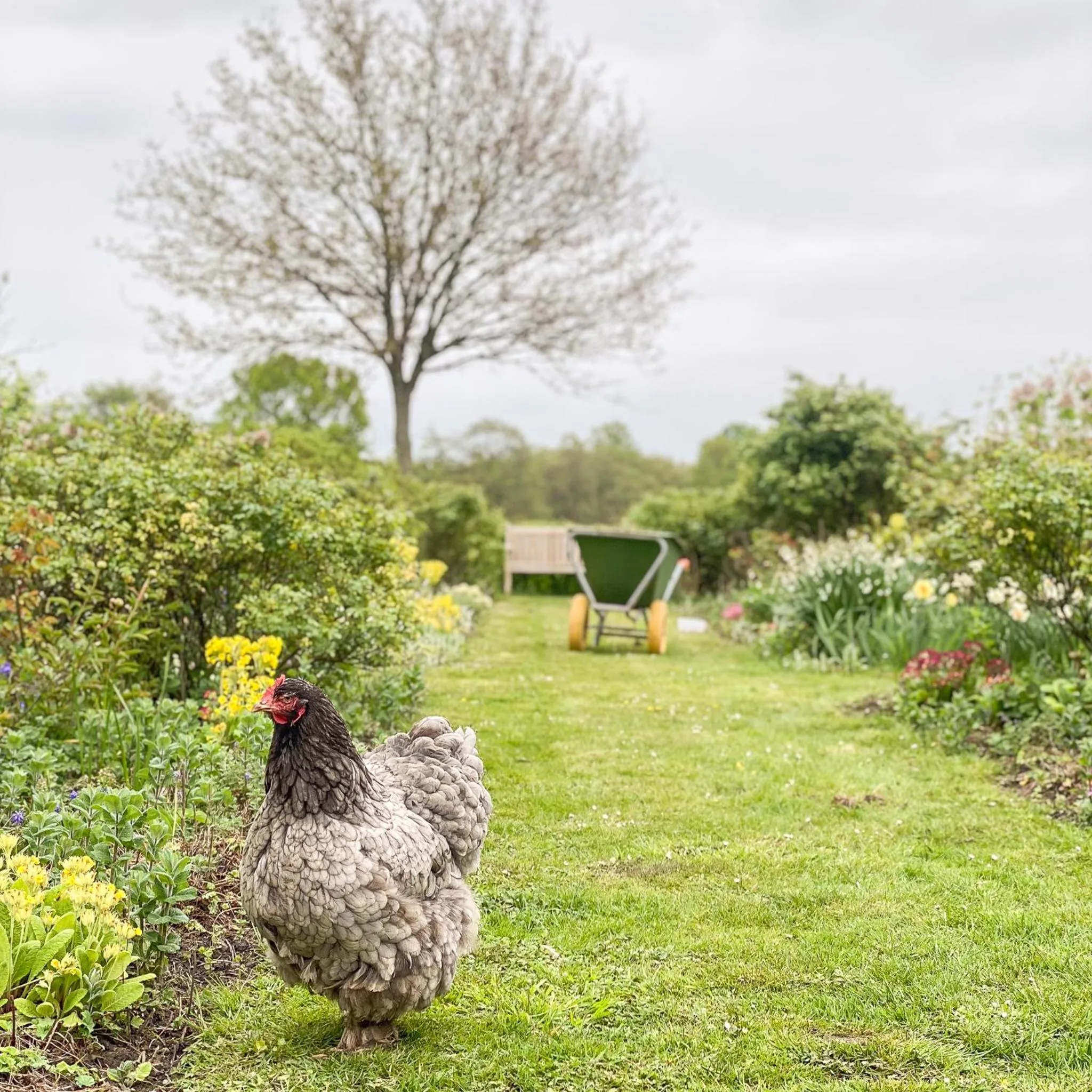 B&B Kasteelhoeve de Kerckhem