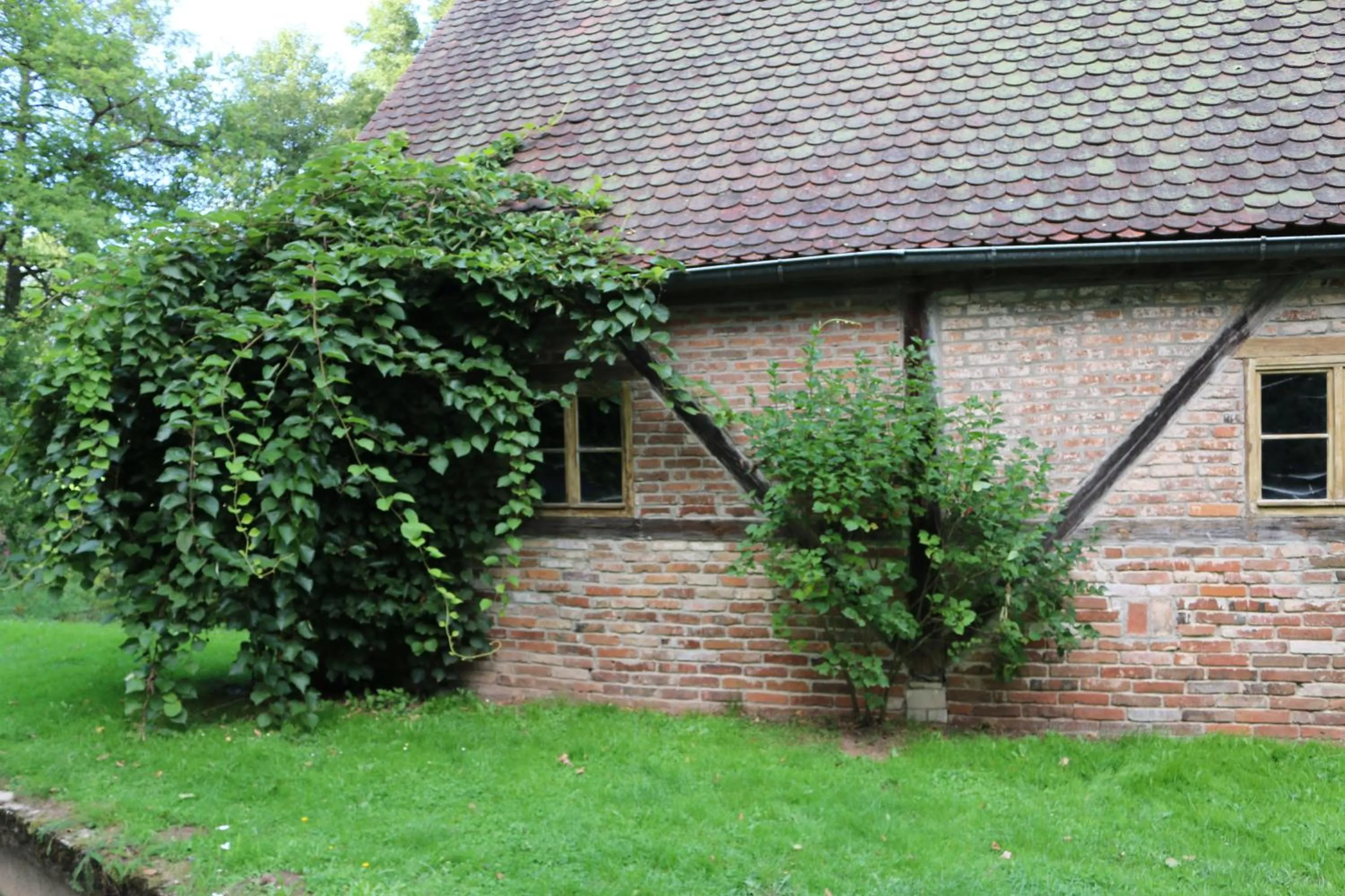Natural landscape in Landhotel Kahrmühle