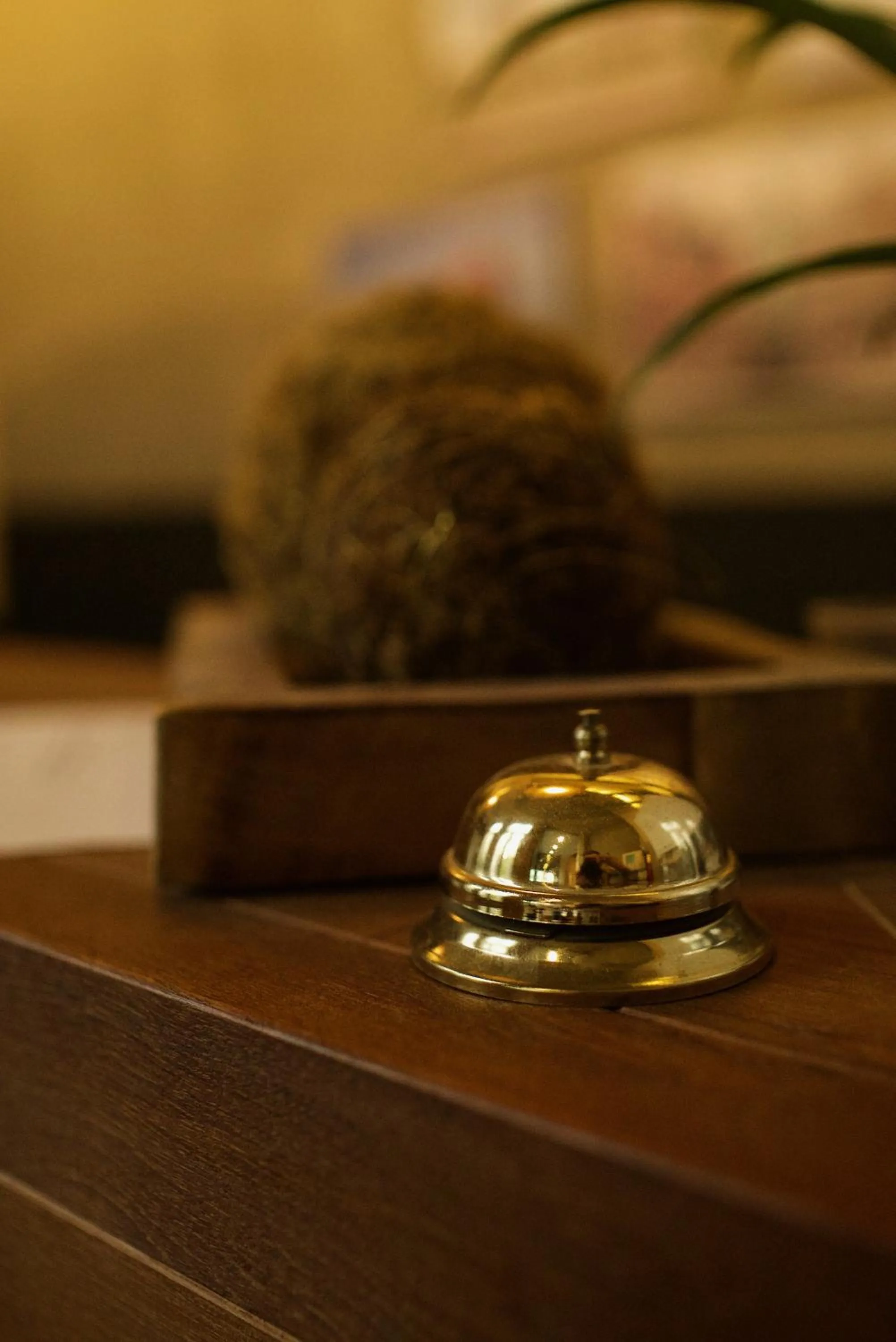 Lobby or reception in Hotel Matelote