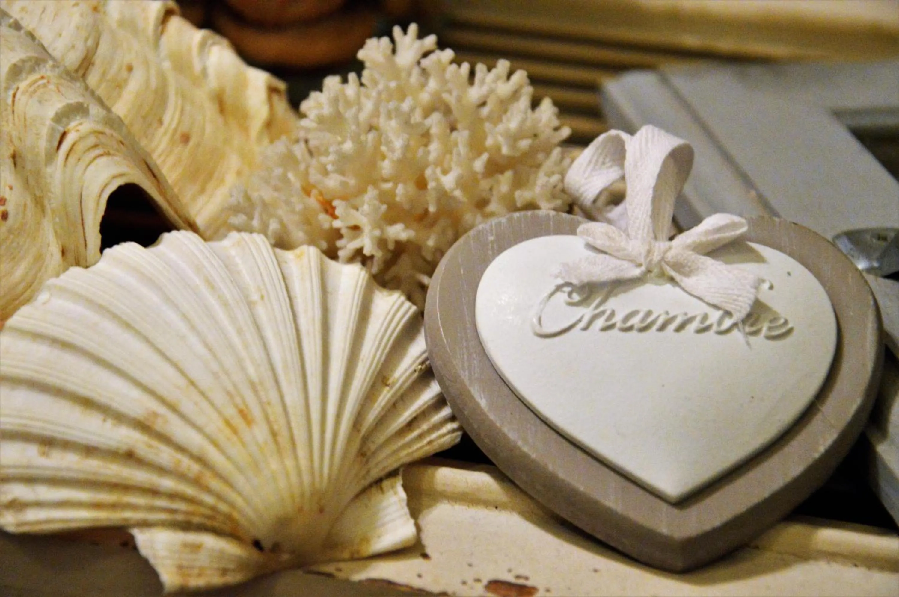 Property logo or sign in Marè Rooms Bari old town center