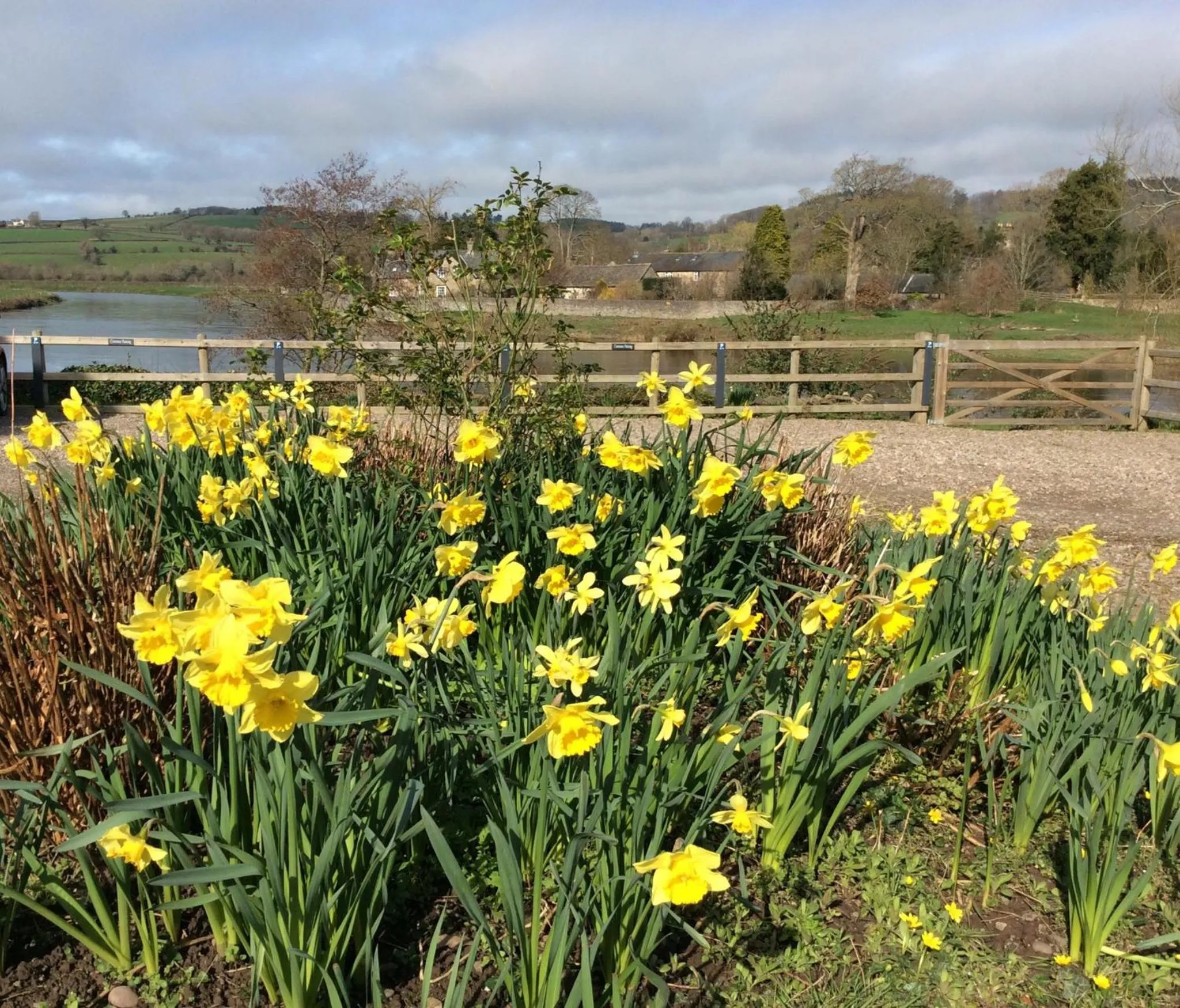 Spring in Aberllynfi Riverside Guest House