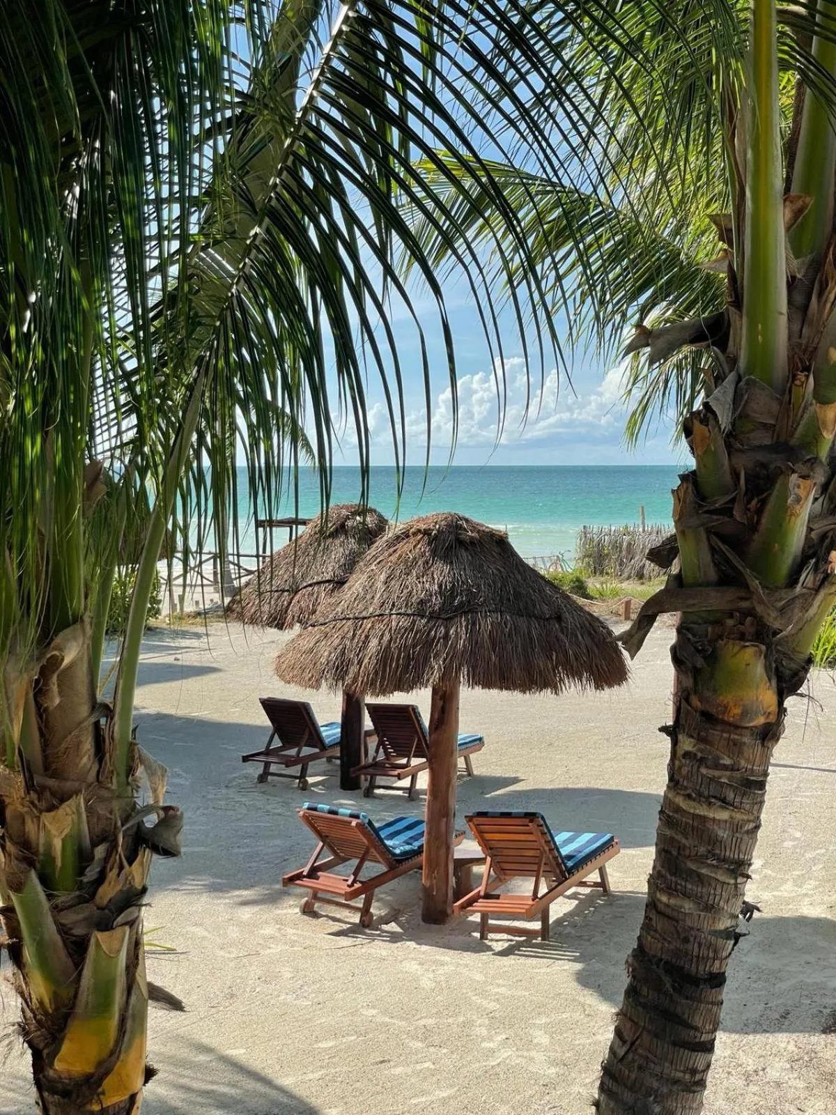 Natural landscape in Casa Luz Beach Front Holbox