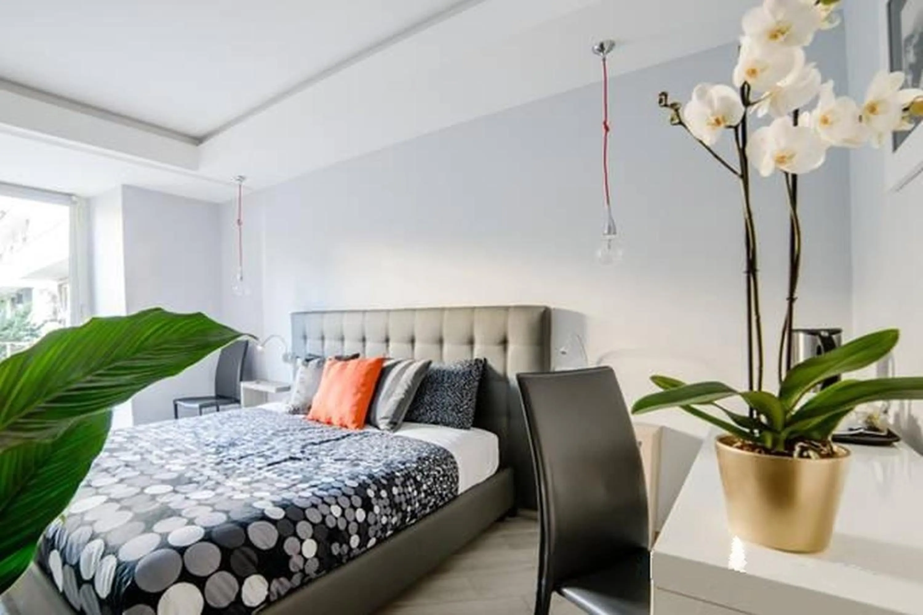 Riviera Luxury Suites