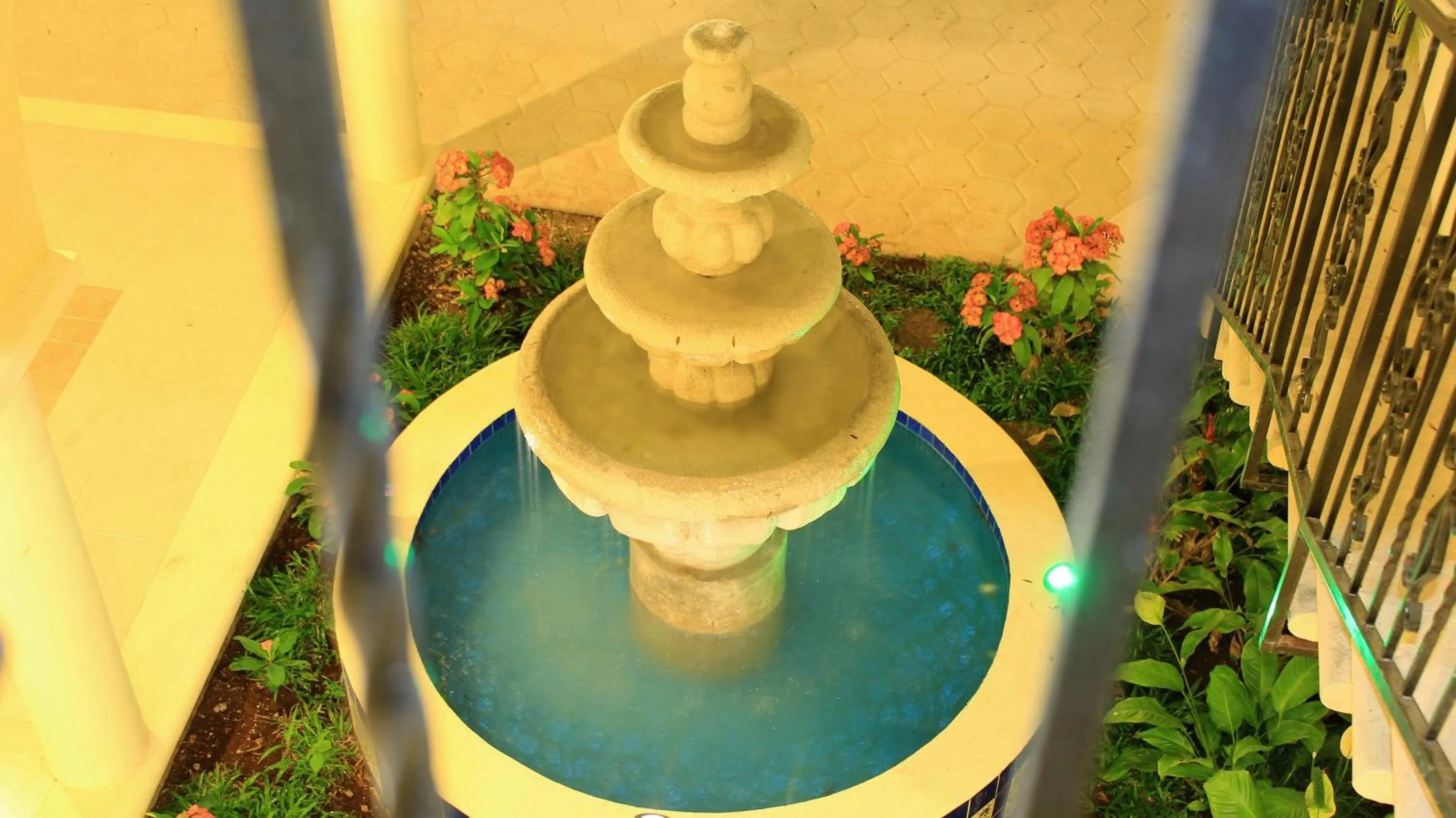 Area and facilities in Hotel Hacienda Margot