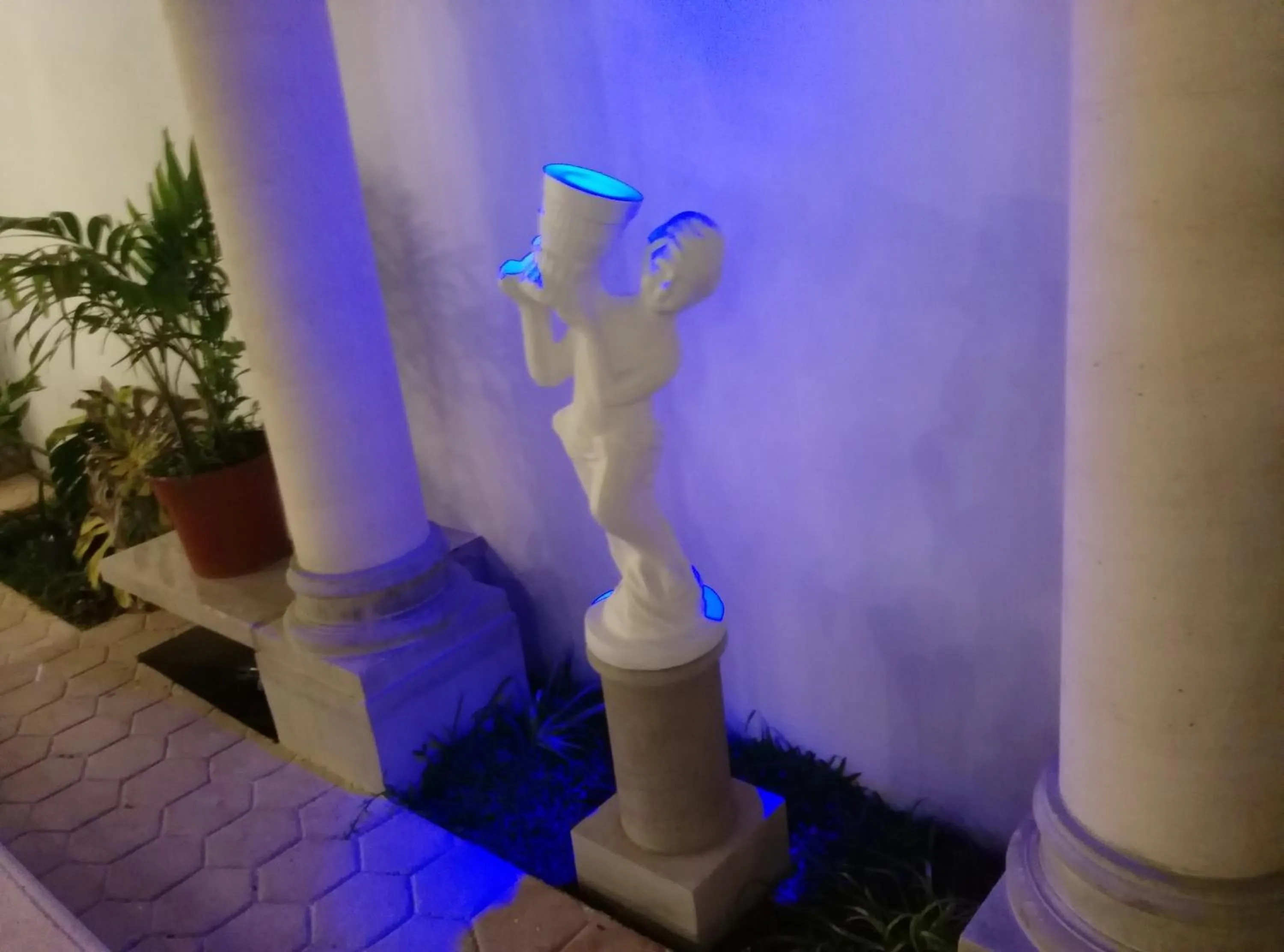 Area and facilities in Hotel Hacienda Margot