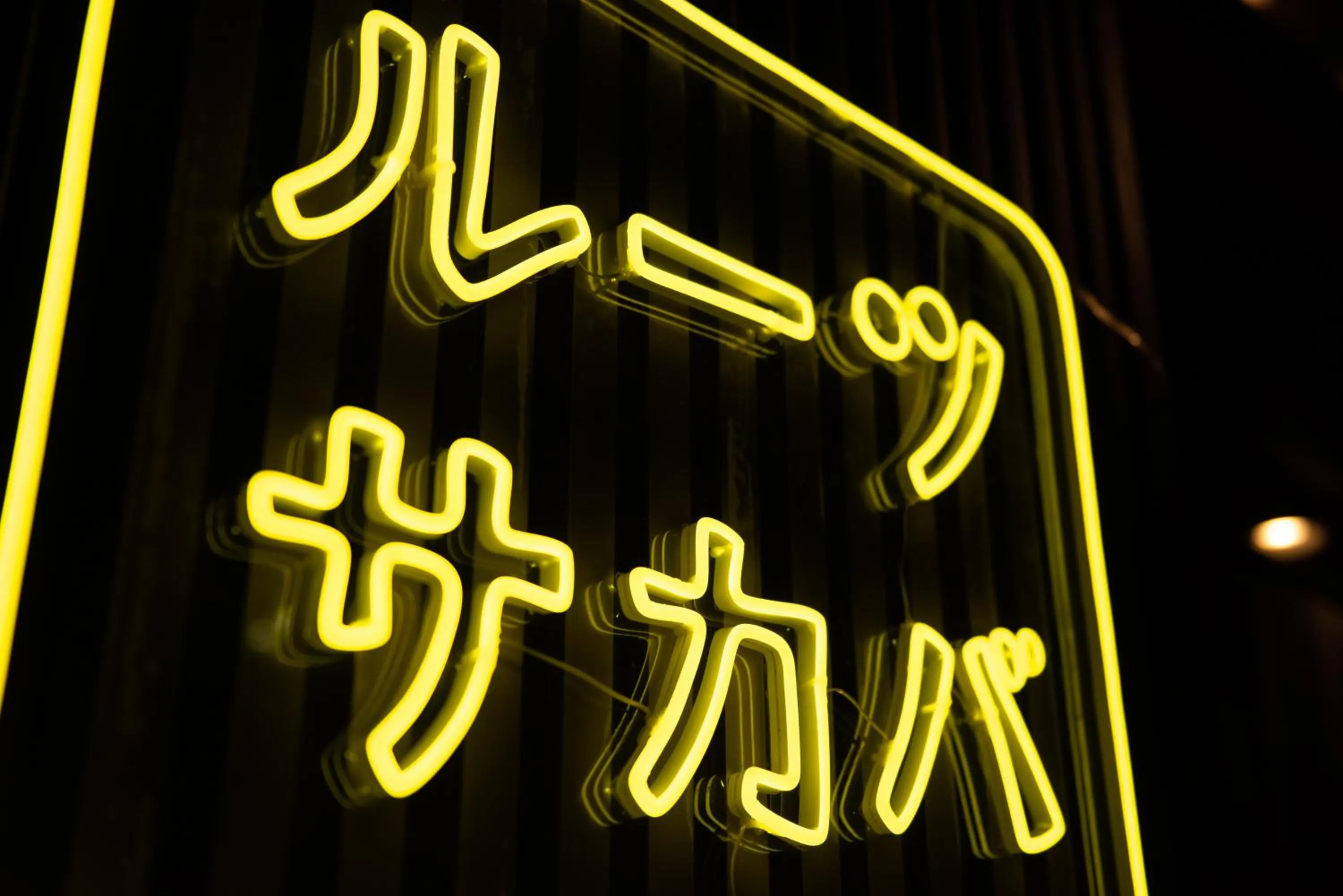 Property building in Roots Hostel