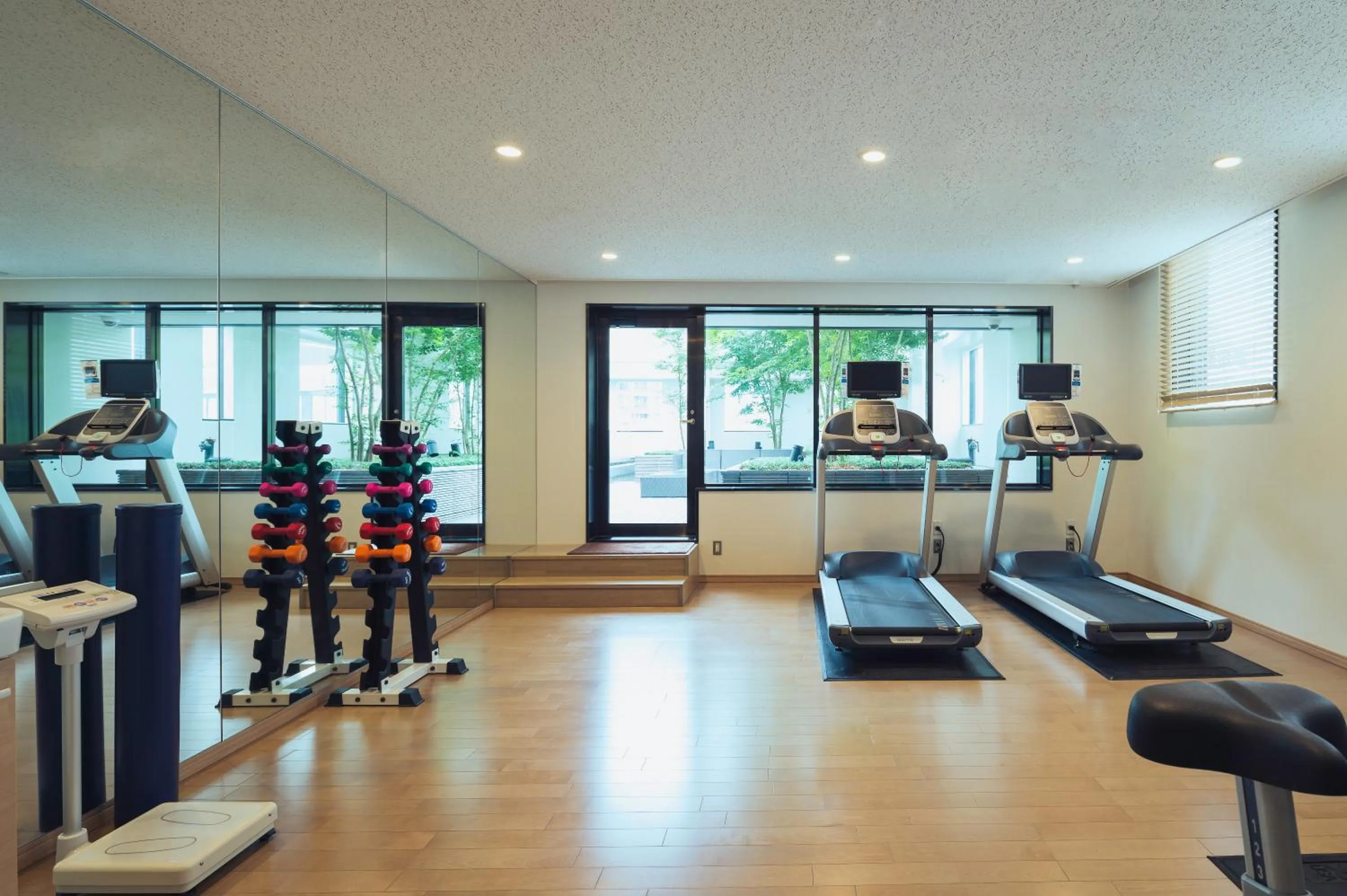 Fitness centre/facilities in Hotel Mystays Premier Akasaka