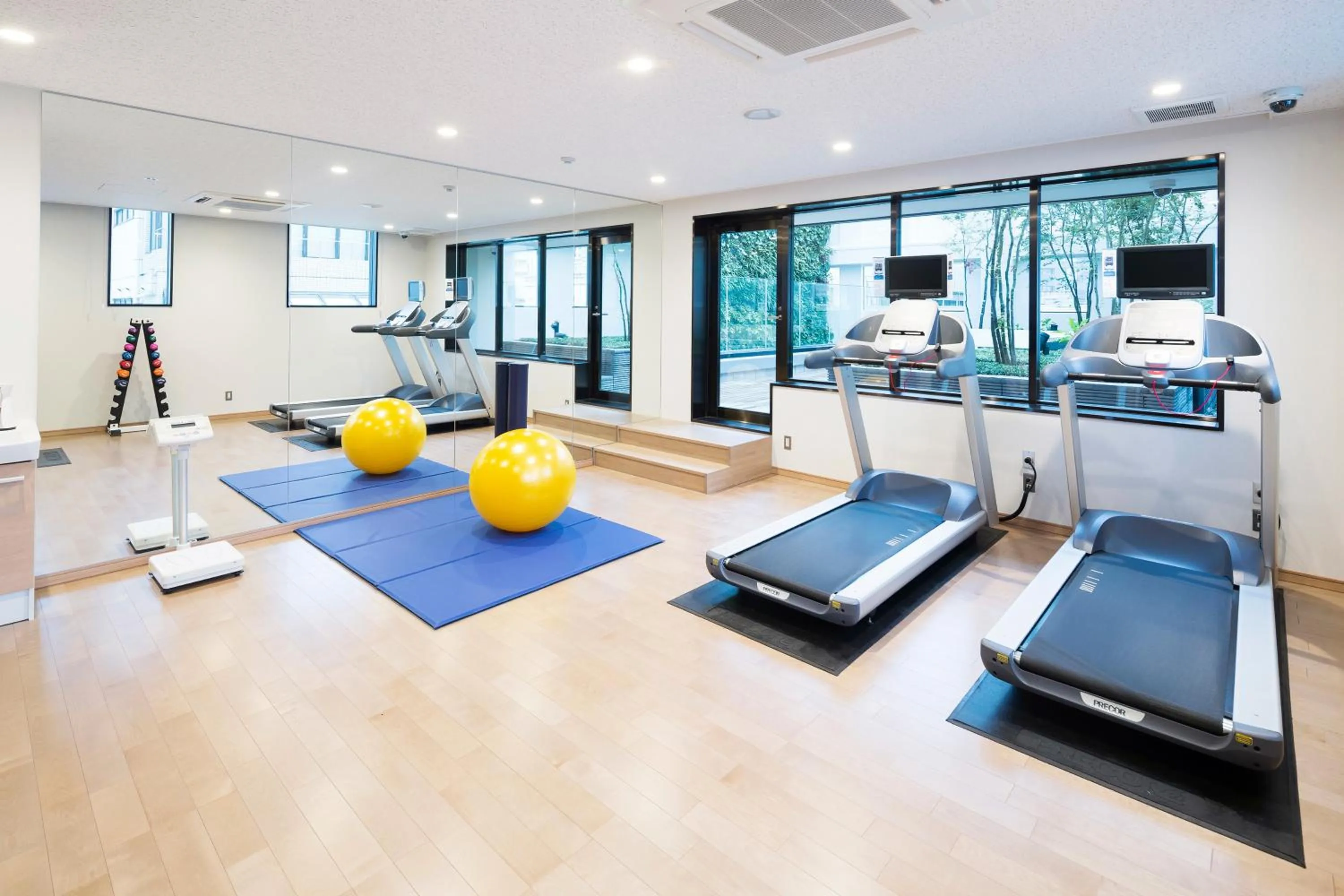 Fitness centre/facilities in Hotel Mystays Premier Akasaka