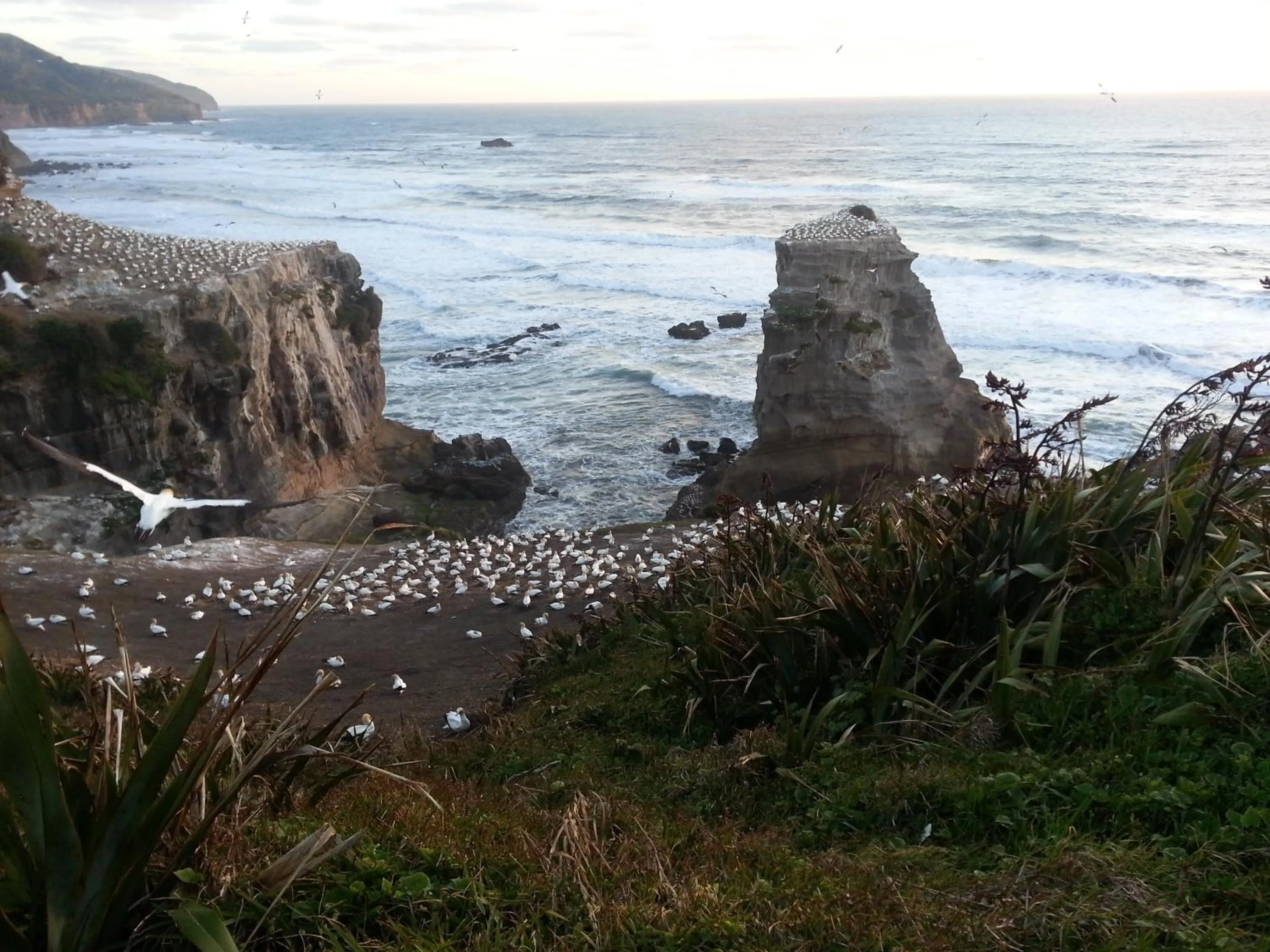 Property building in Lush & Co Auckland Bed & Breakfast