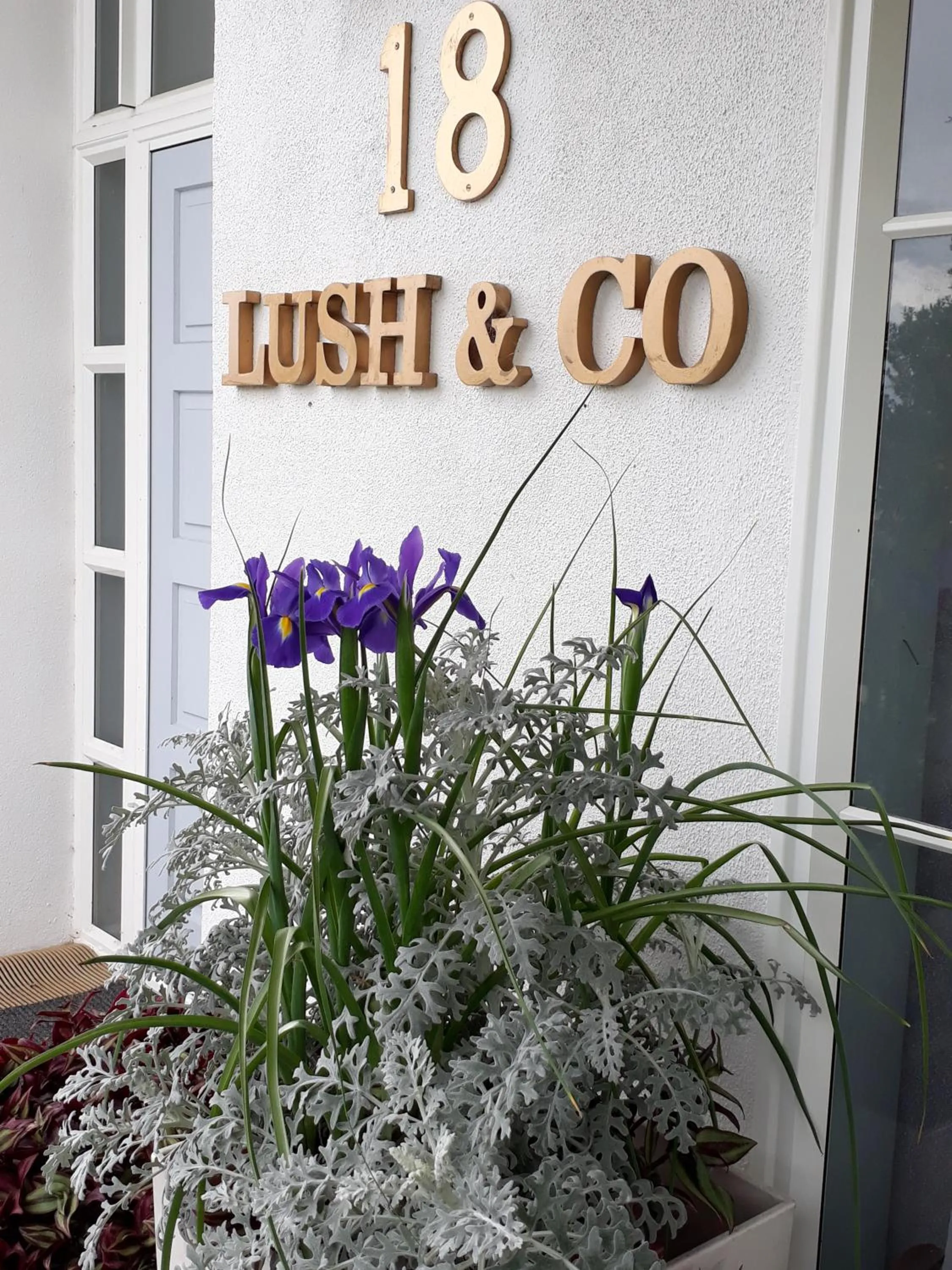 Facade/entrance in Lush & Co Auckland Bed & Breakfast