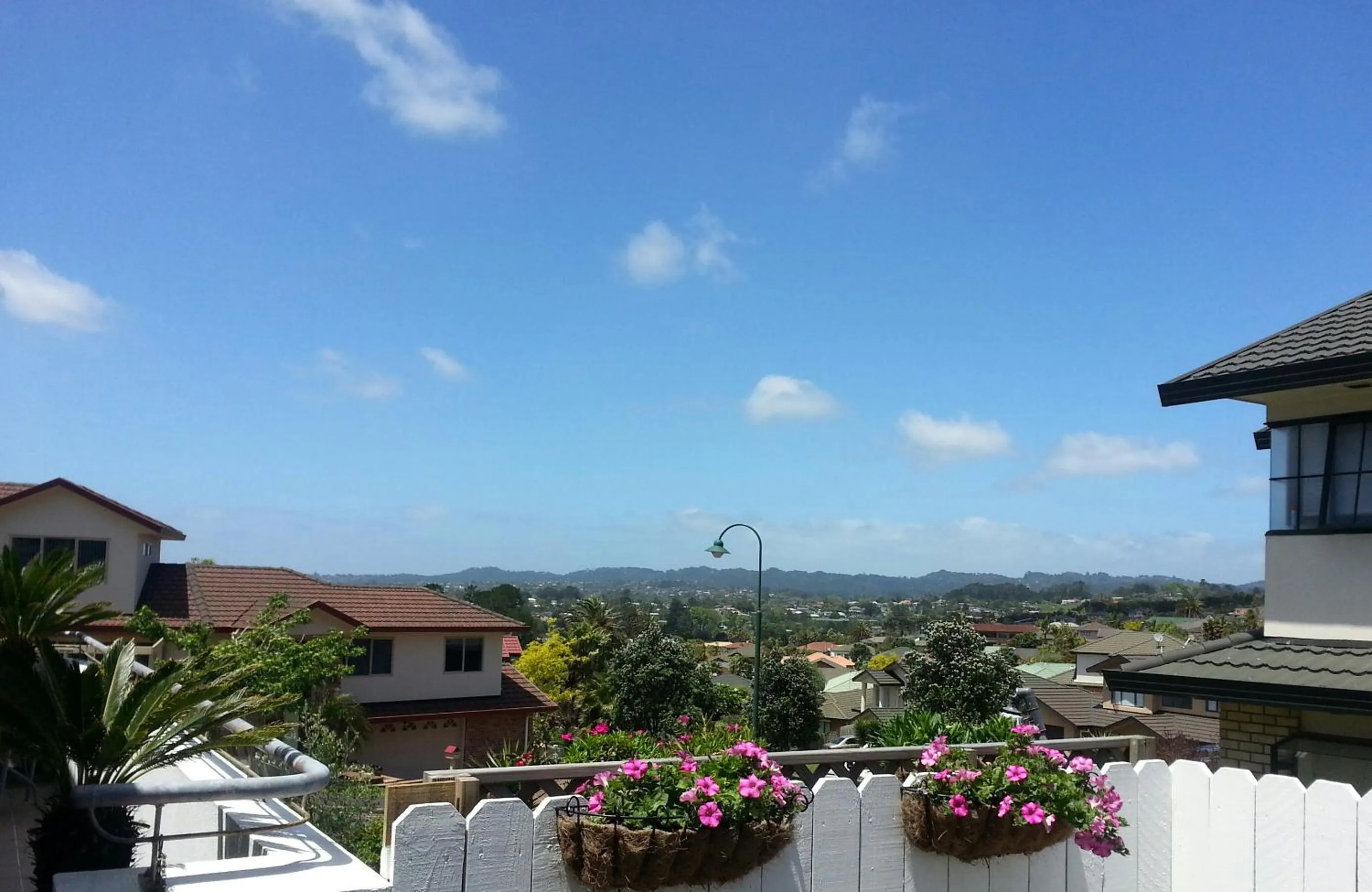 Property building in Lush & Co Auckland Bed & Breakfast