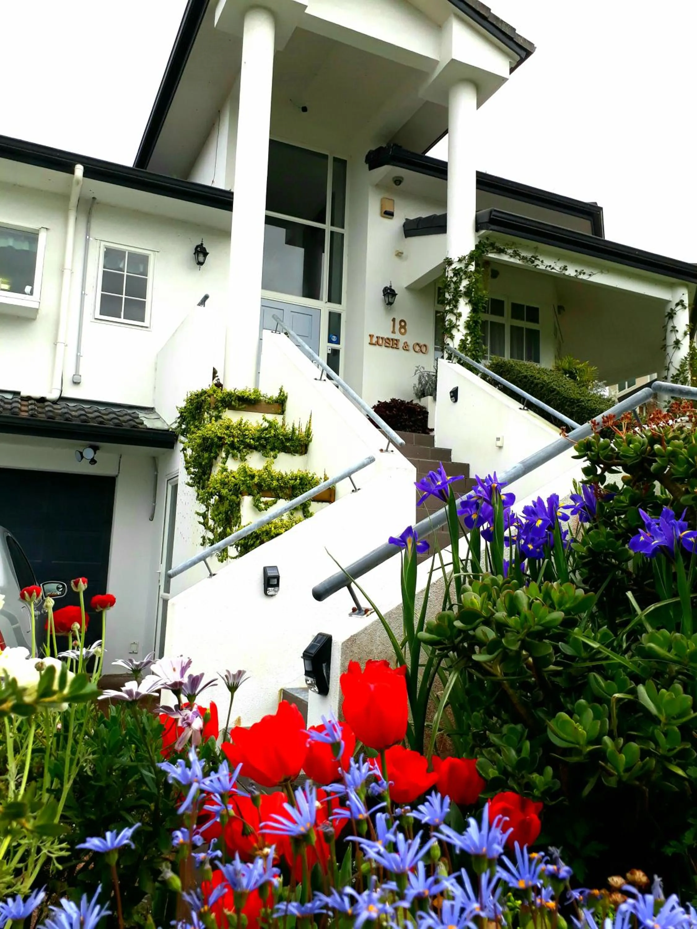 Spring in Lush & Co Auckland Bed & Breakfast