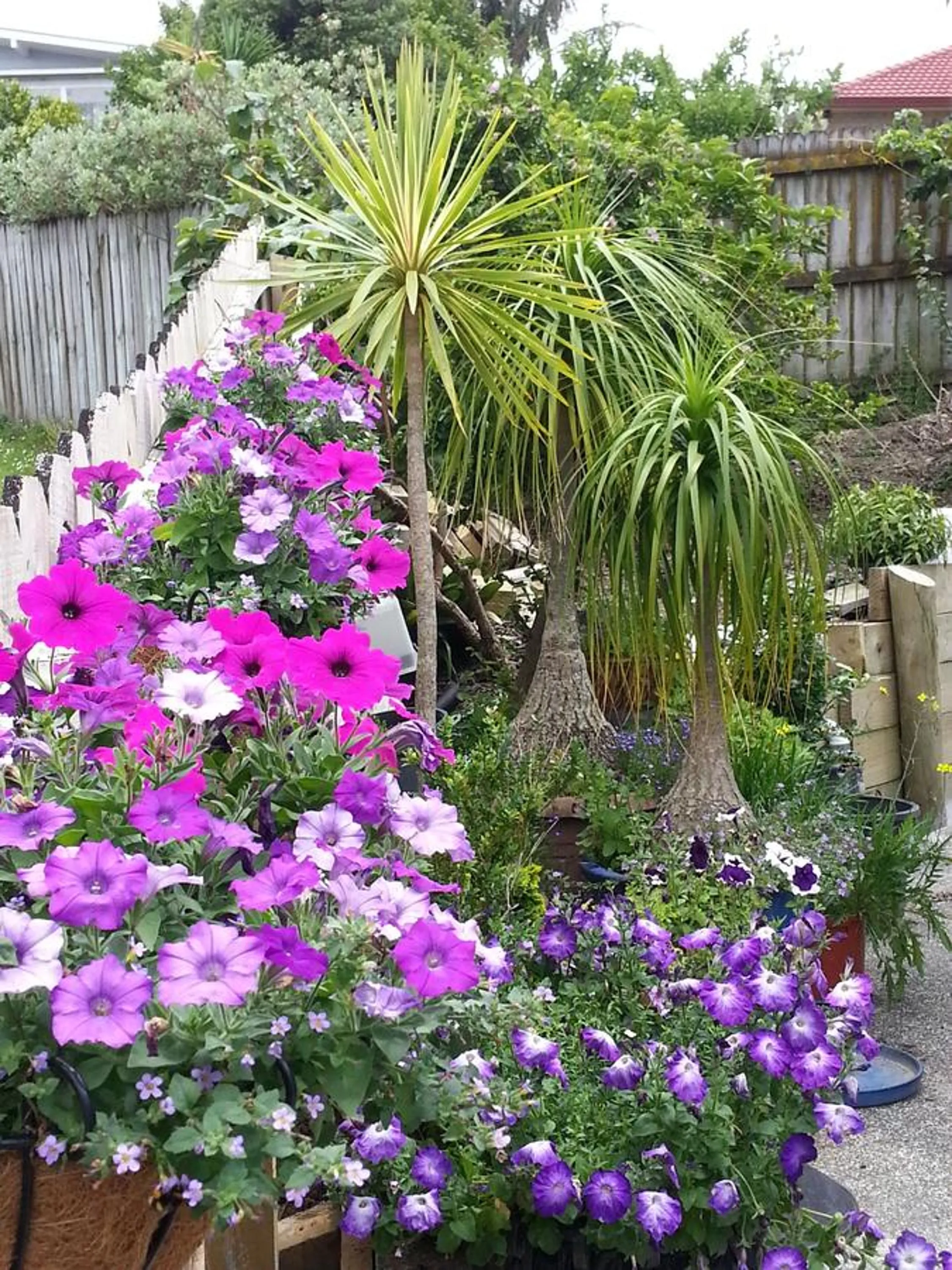 Property building in Lush & Co Auckland Bed & Breakfast