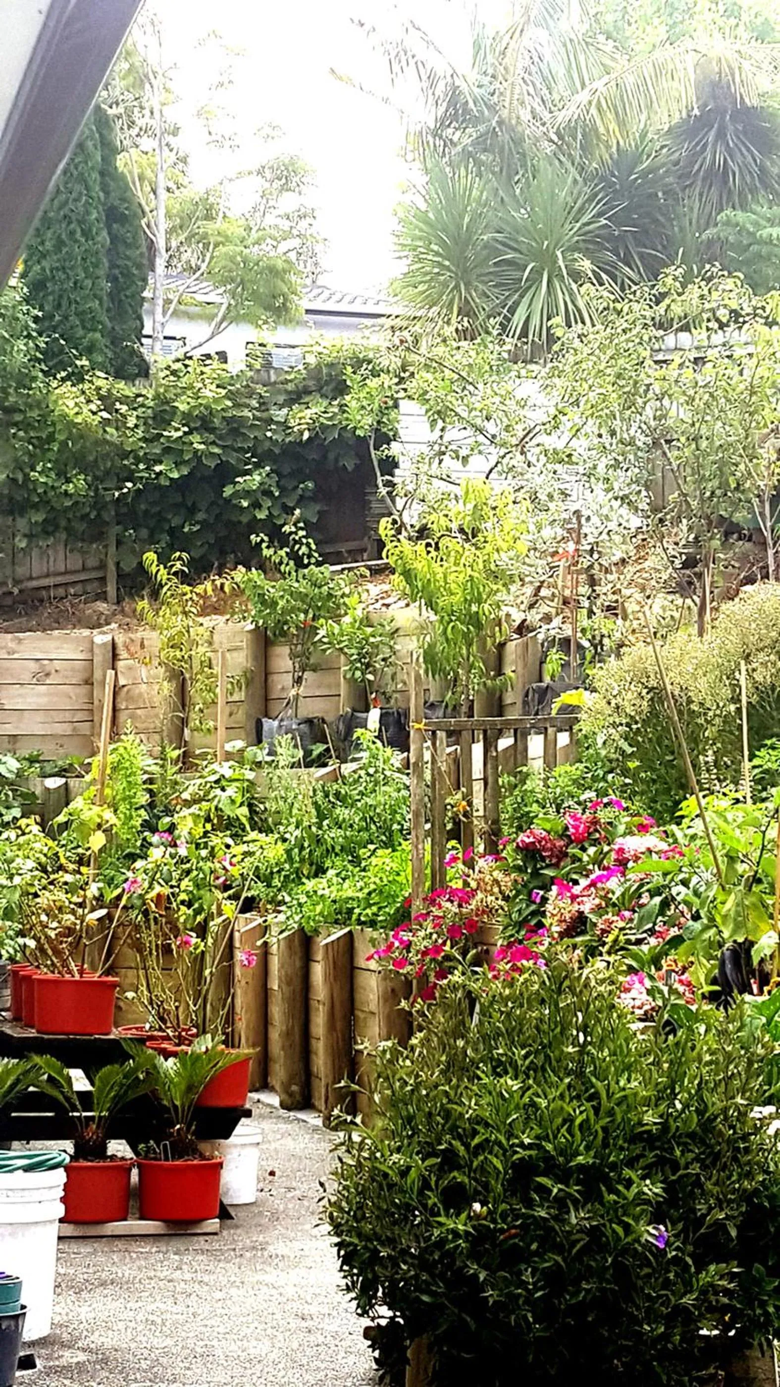 Patio in Lush & Co Auckland Bed & Breakfast