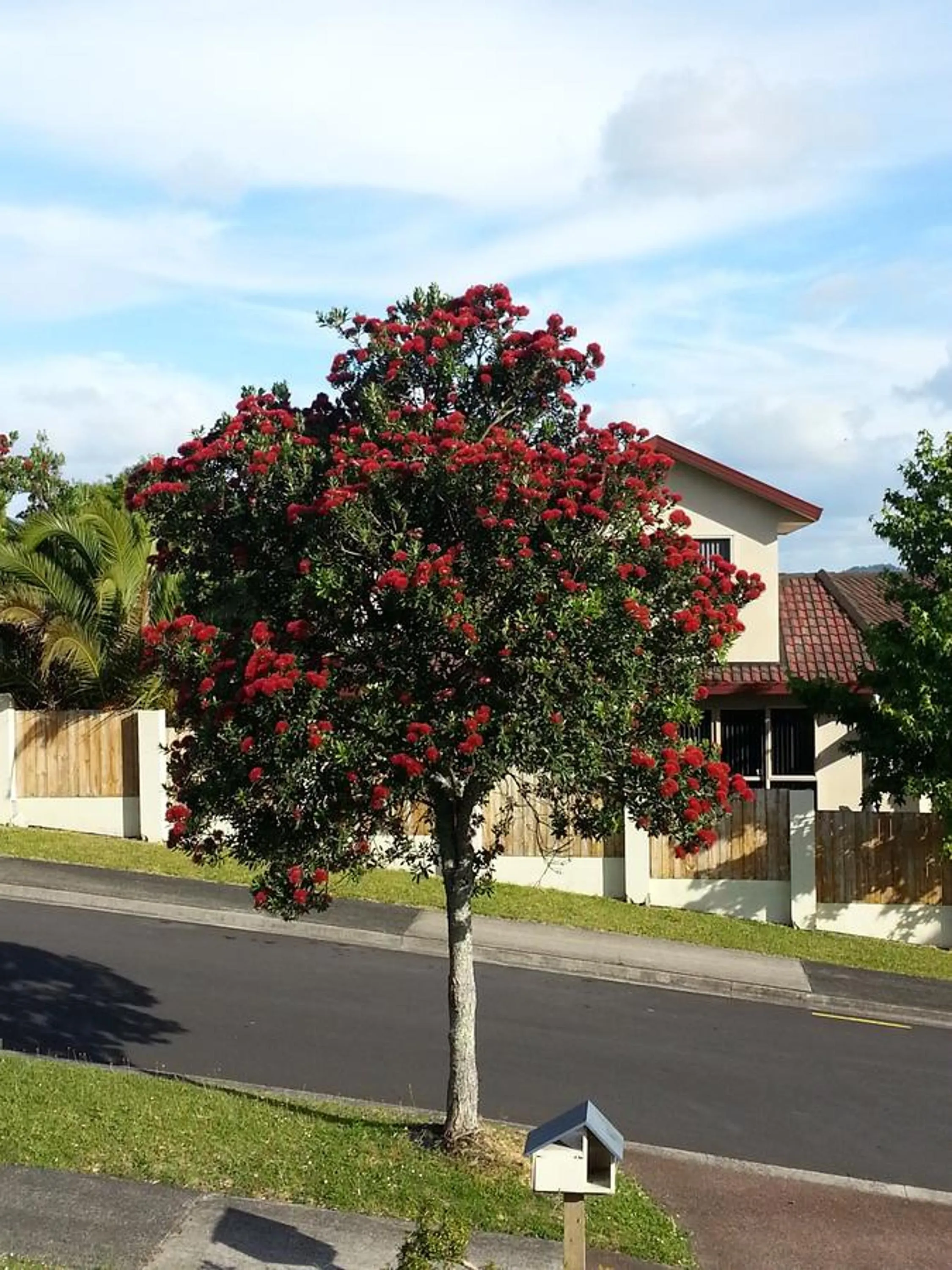 Property building in Lush & Co Auckland Bed & Breakfast