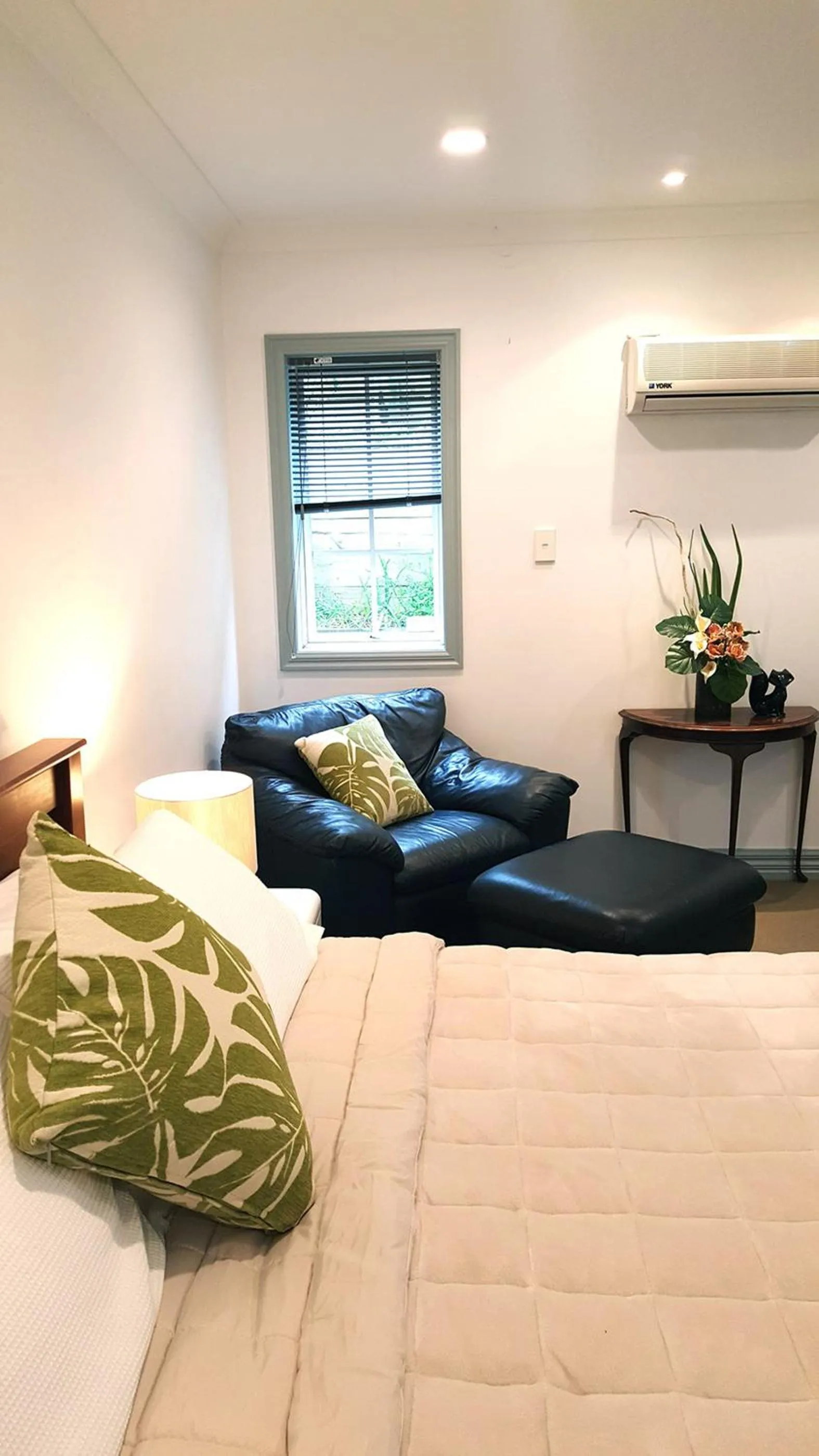 Patio in Lush & Co Auckland Bed & Breakfast