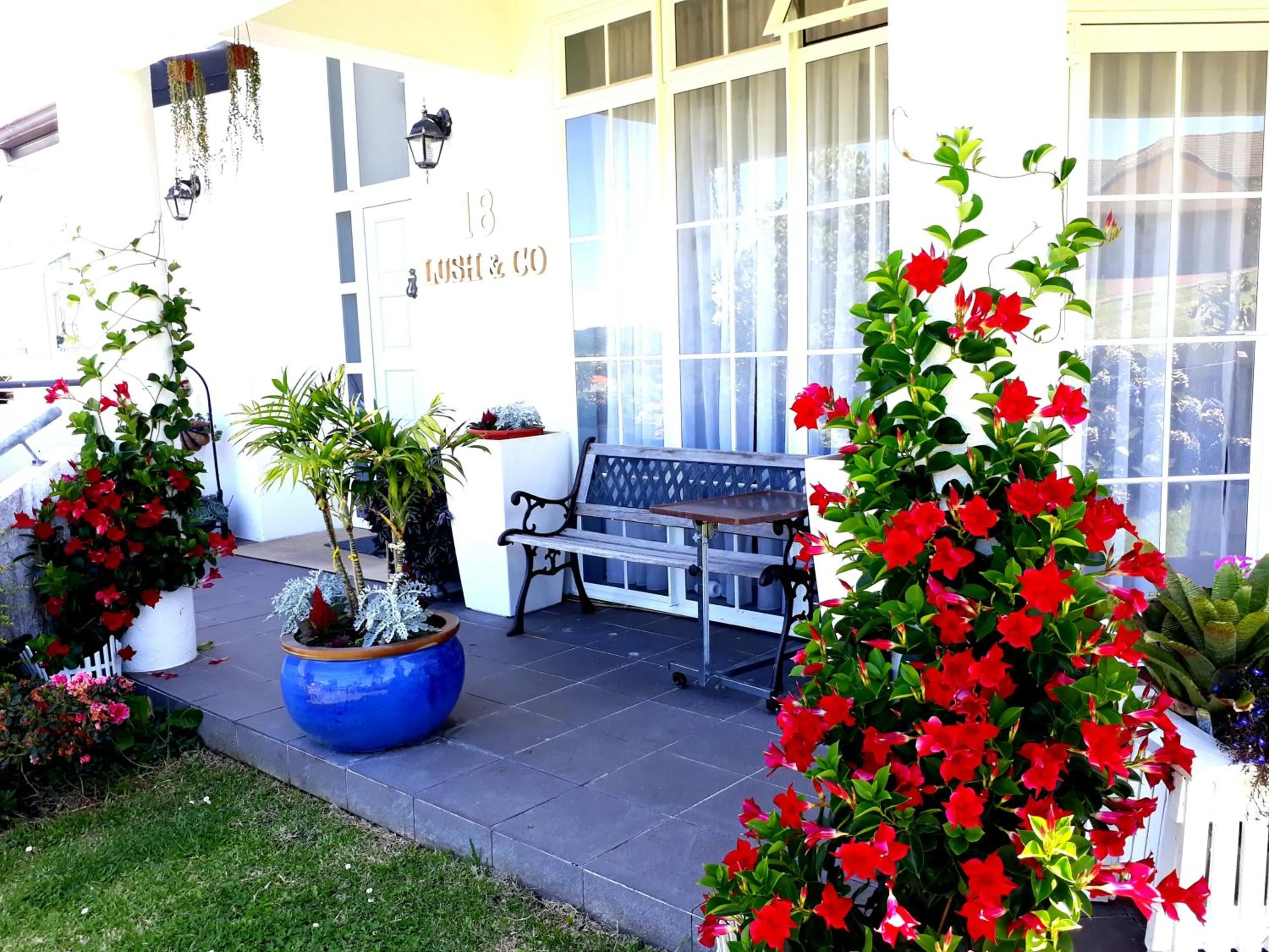 Patio in Lush & Co Auckland Bed & Breakfast