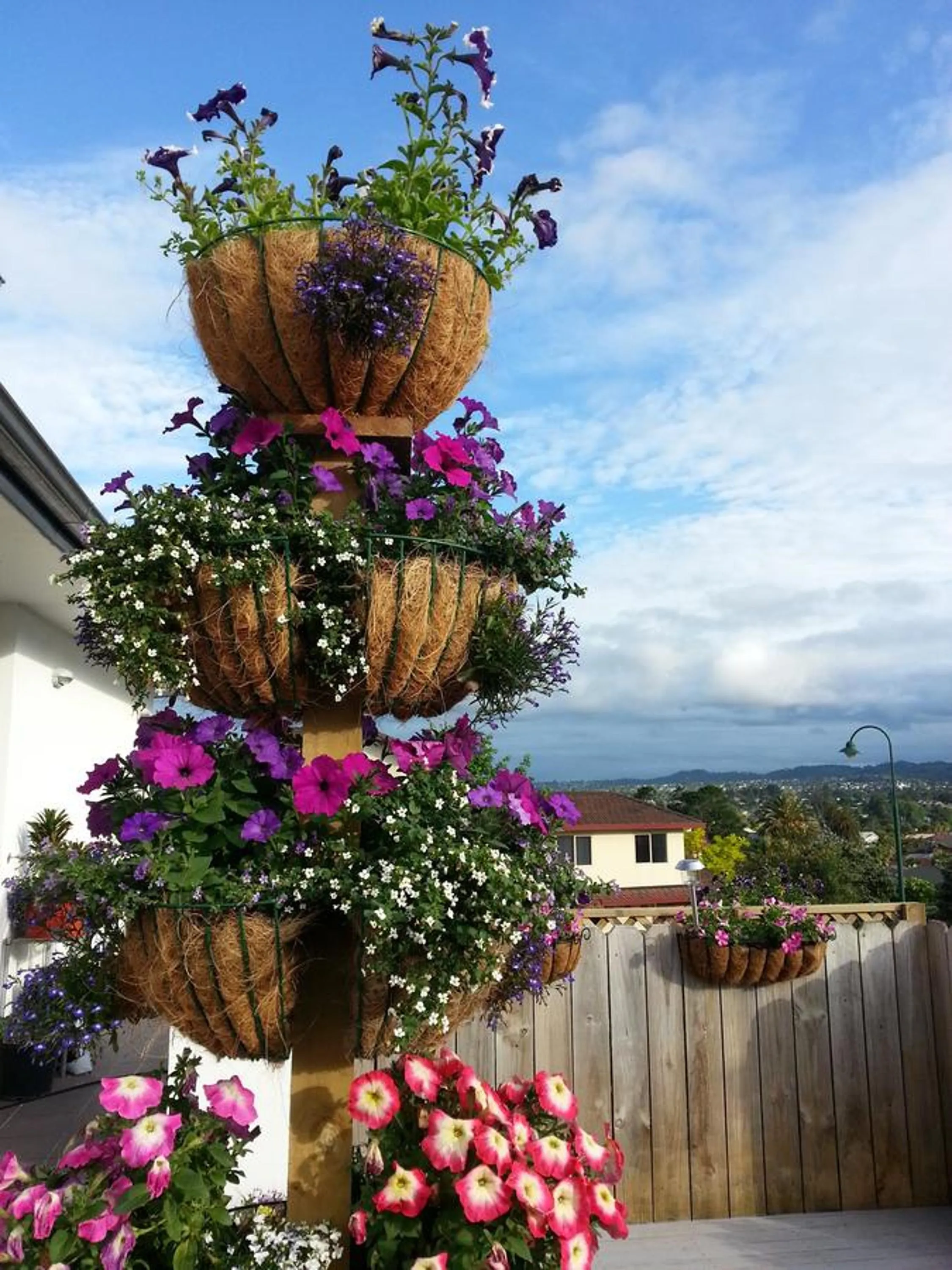 Property building in Lush & Co Auckland Bed & Breakfast