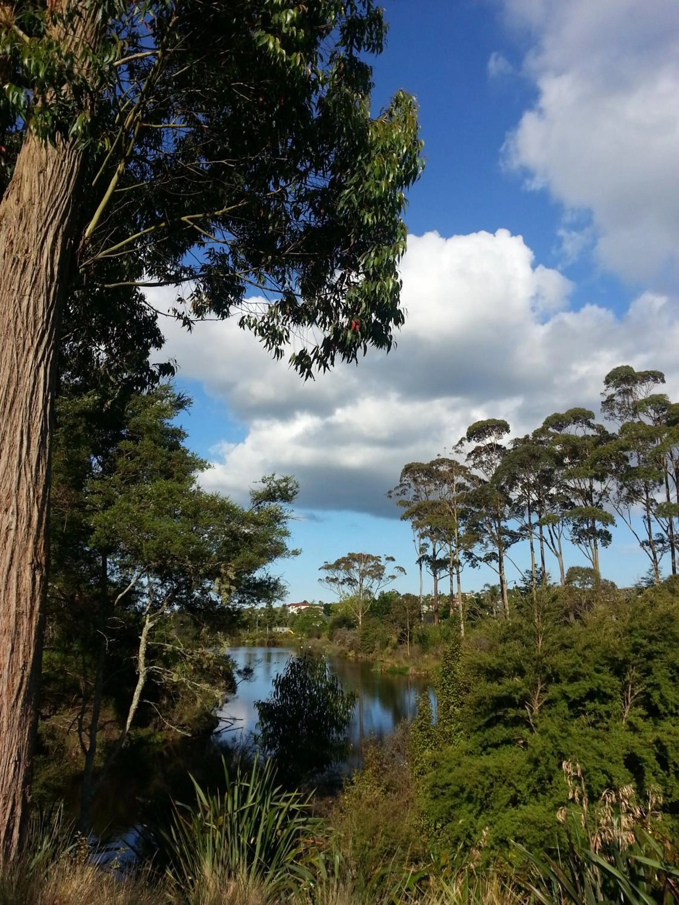 Nearby landmark in Lush & Co Auckland Bed & Breakfast