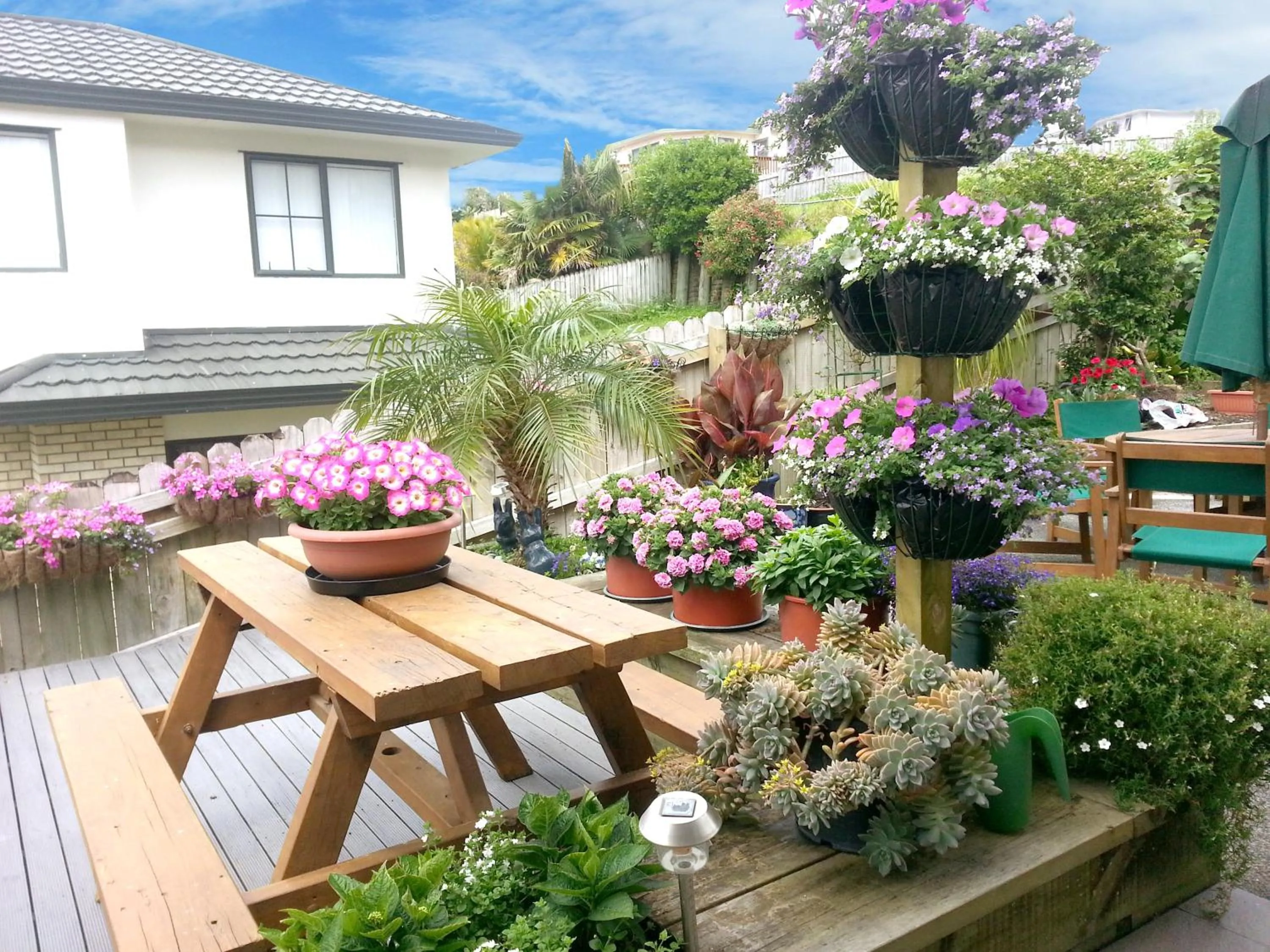 Patio in Lush & Co Auckland Bed & Breakfast