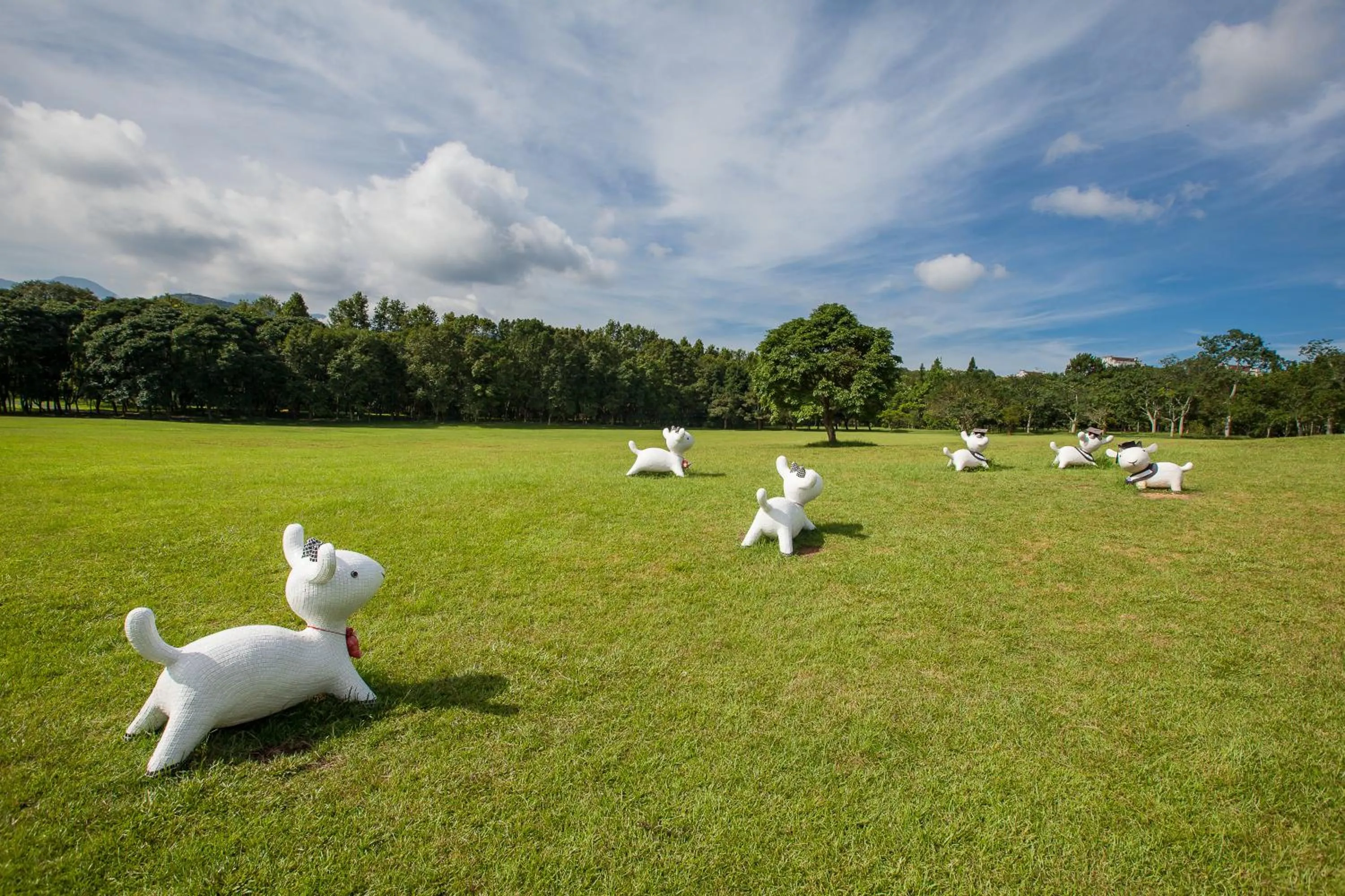 Off site in NCNU Campus Inn暨大行旅