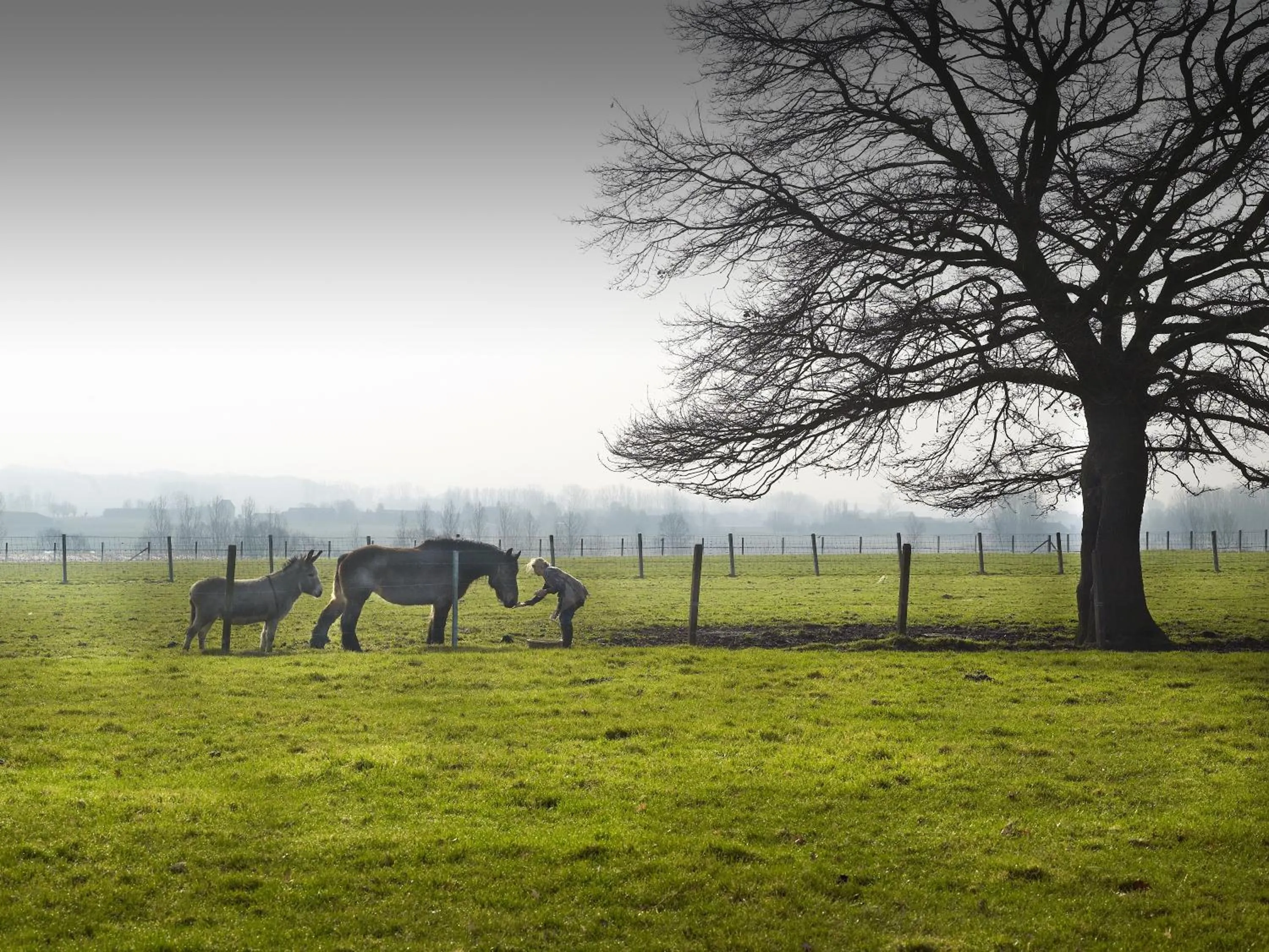 Natural landscape in B&B Hof te Spieringen