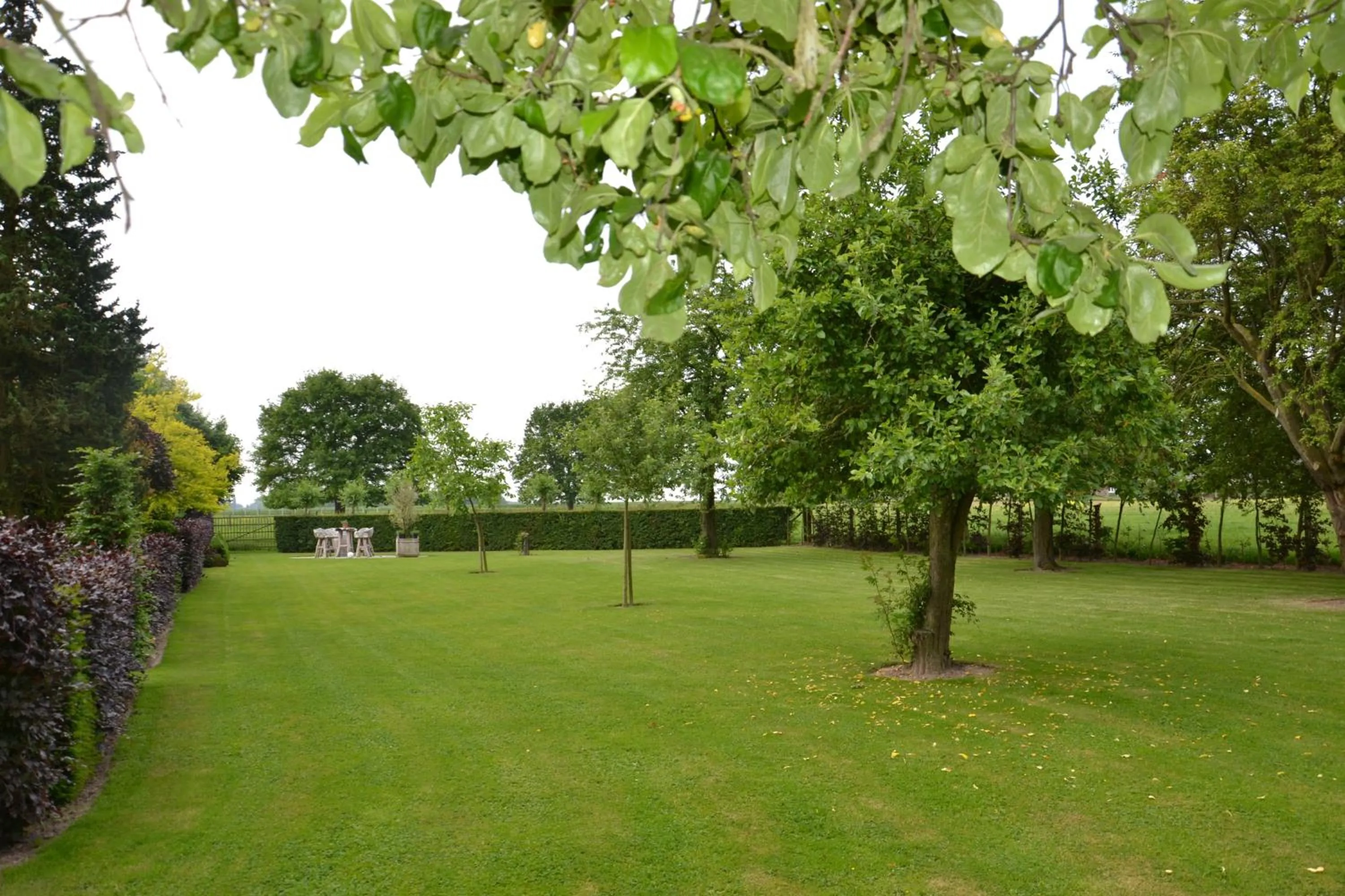 Garden in B&B Hof te Spieringen