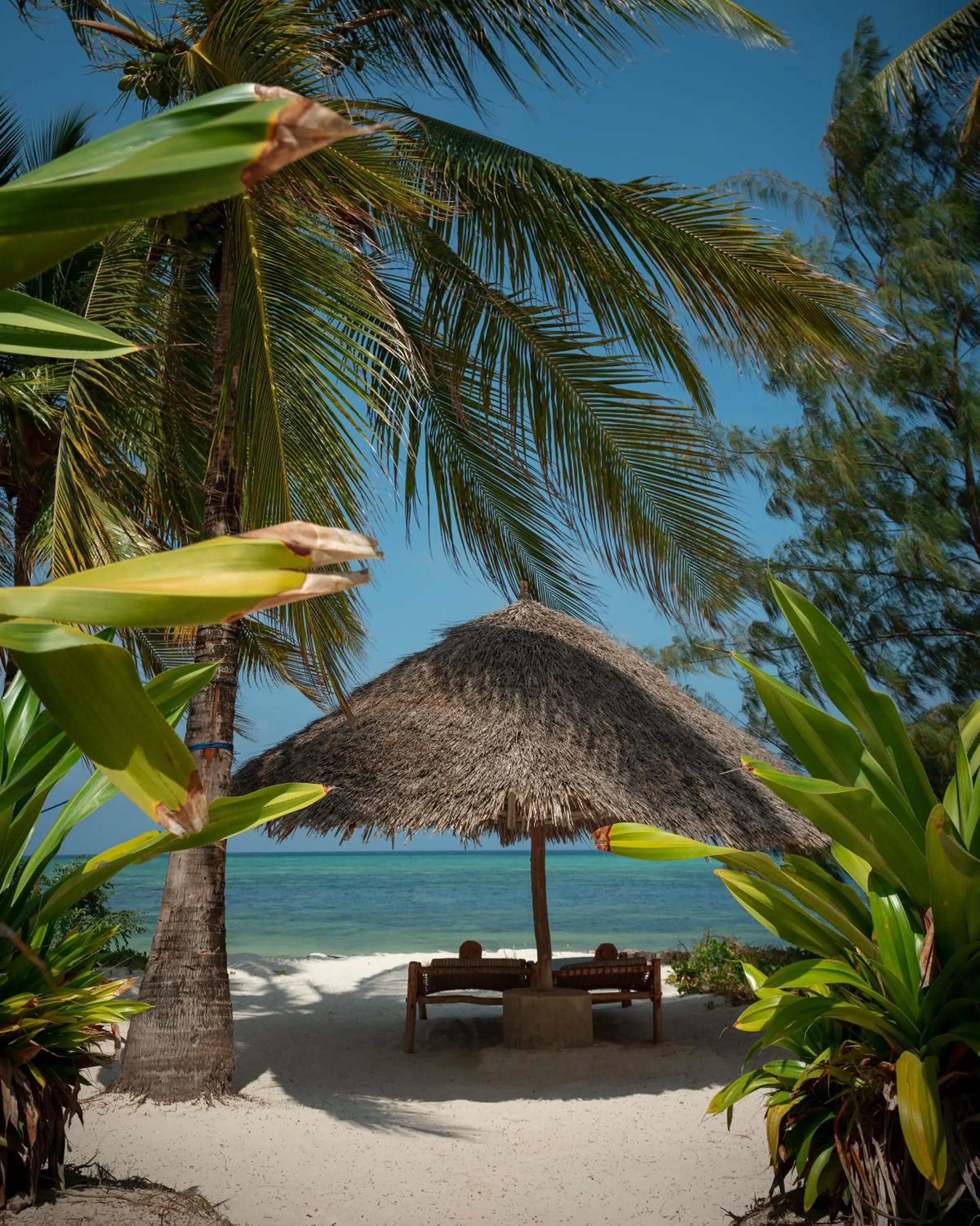 Beach in Xanadu Luxury Villas & Retreat Zanzibar