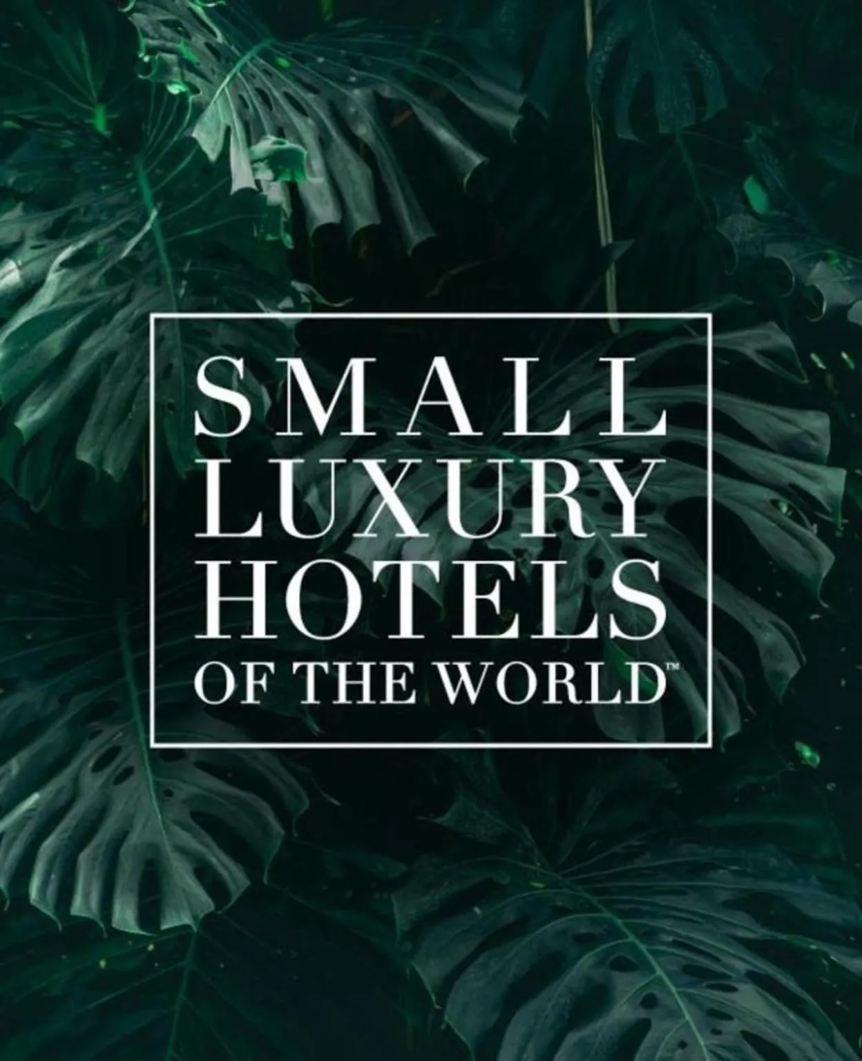 Natural landscape in Xanadu Luxury Villas & Retreat Zanzibar