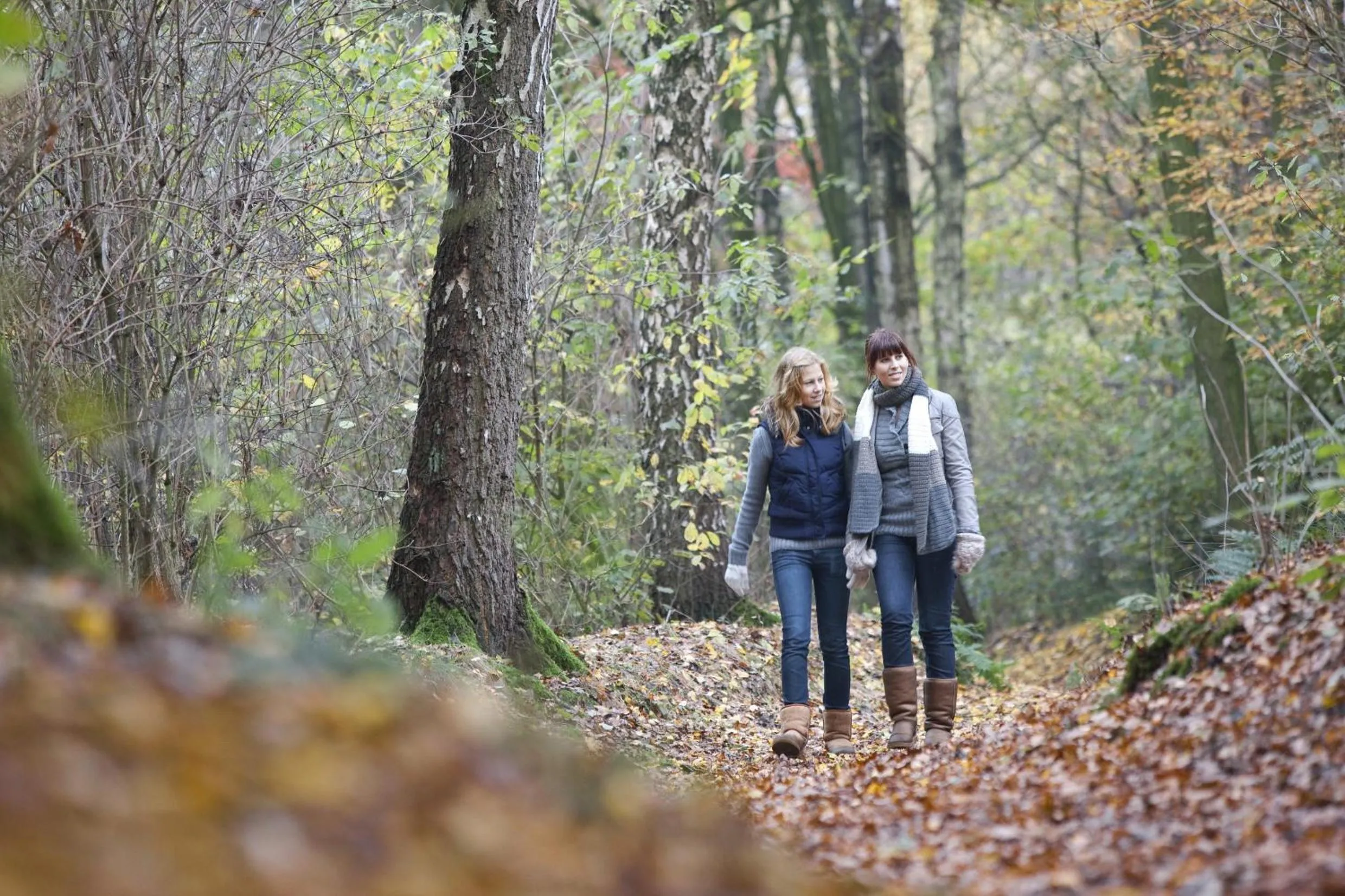 Natural landscape in Sunparks Kempense Meren
