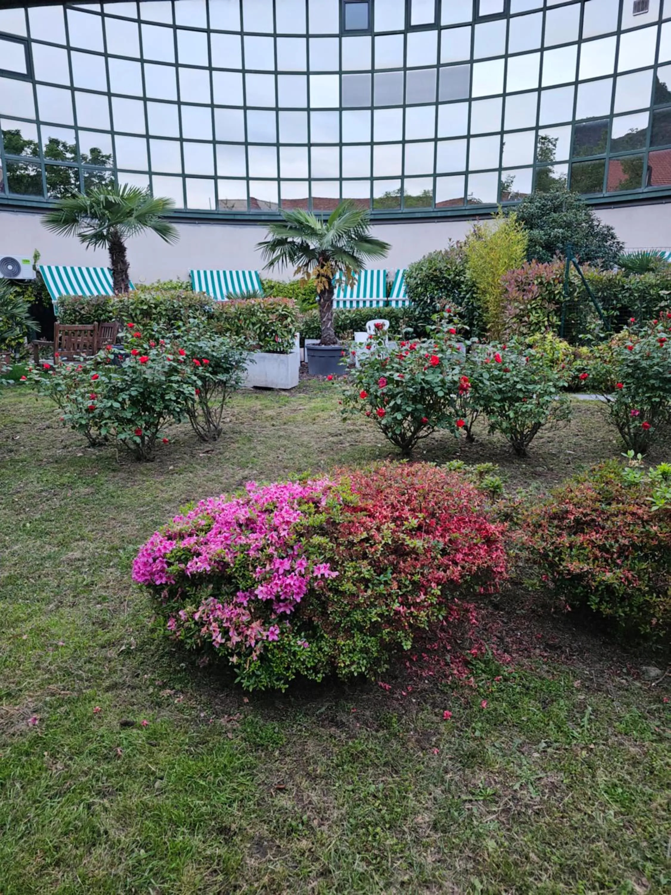 Victoria Royal Garden