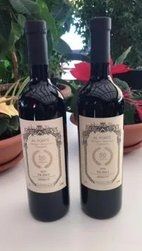 Restaurant/places to eat in Al Ponte