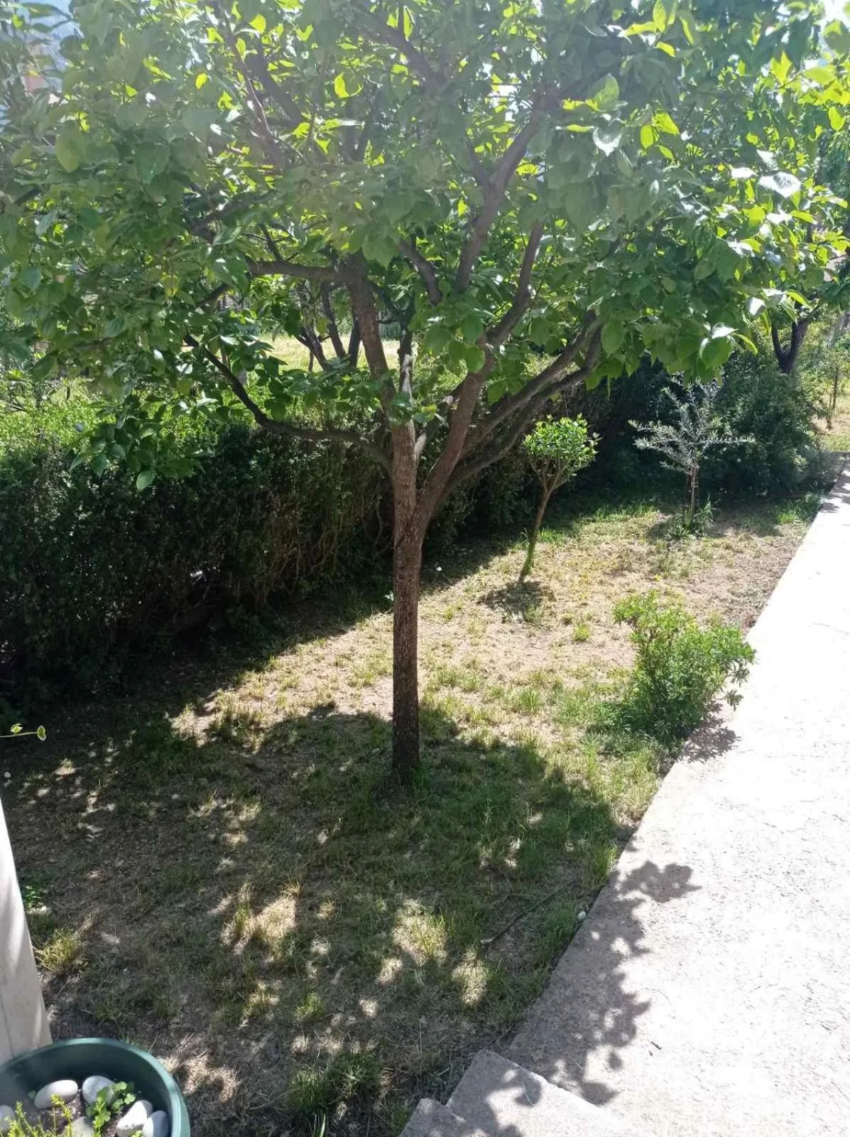 Apartment Ivan