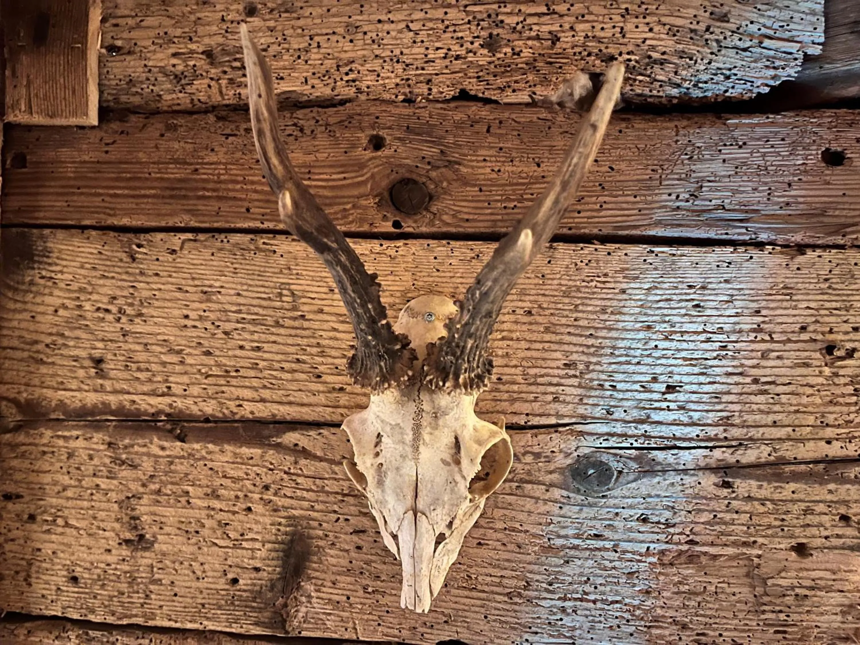 Sauna in Höhengasthaus Kolmenhof an der Donauquelle