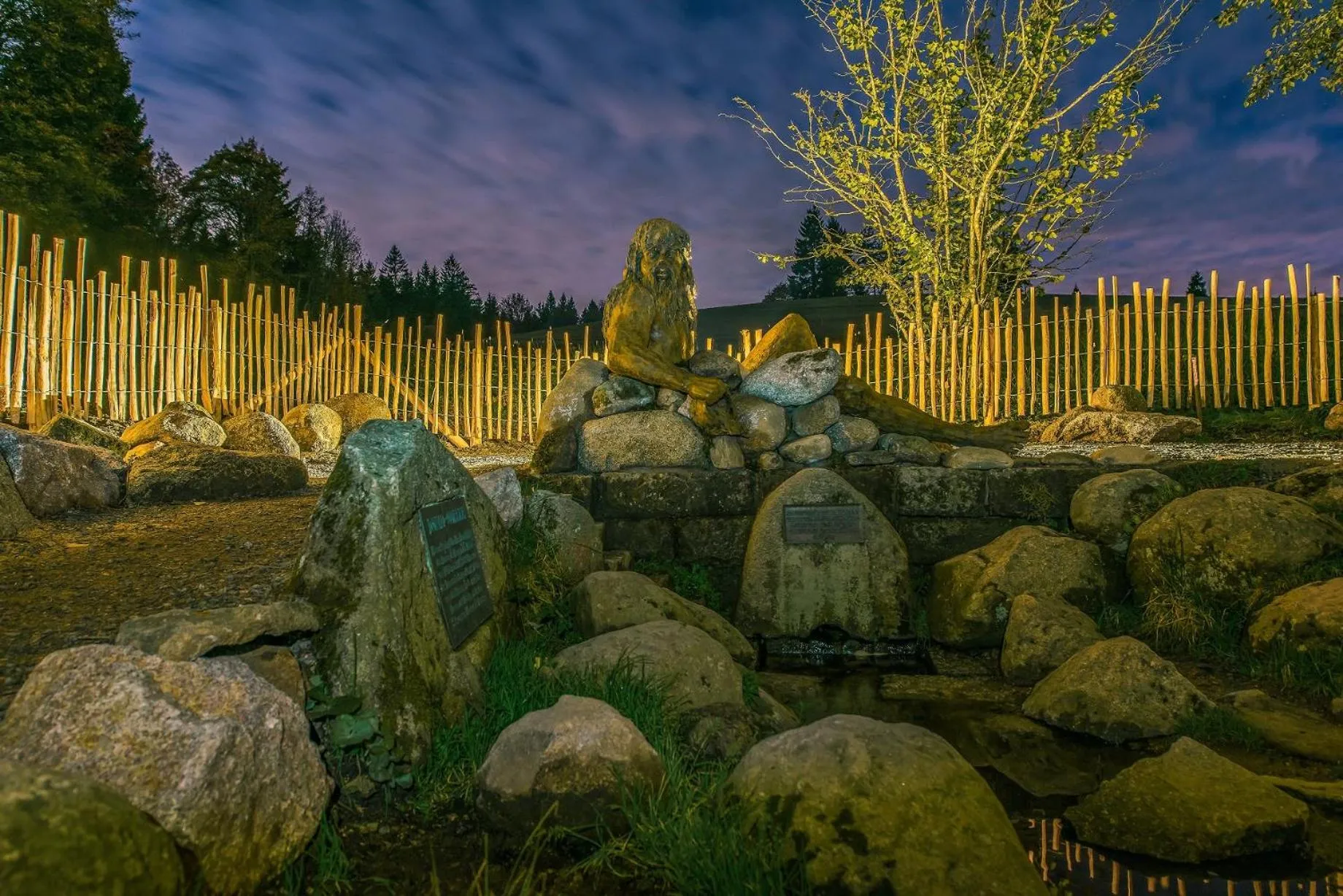 View (from property/room) in Höhengasthaus Kolmenhof an der Donauquelle