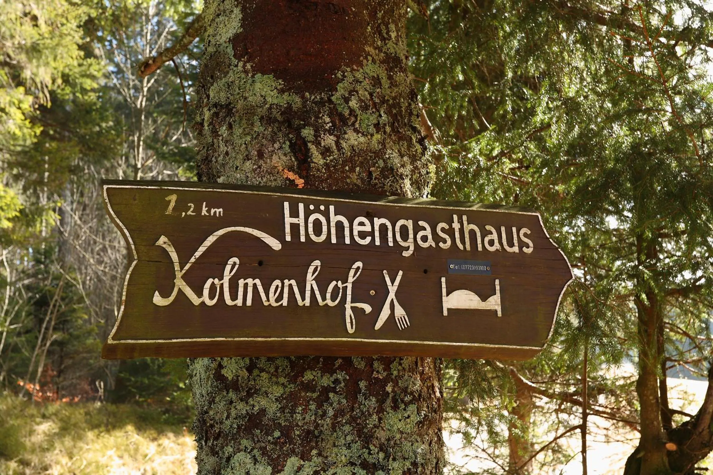 Hiking in Höhengasthaus Kolmenhof an der Donauquelle