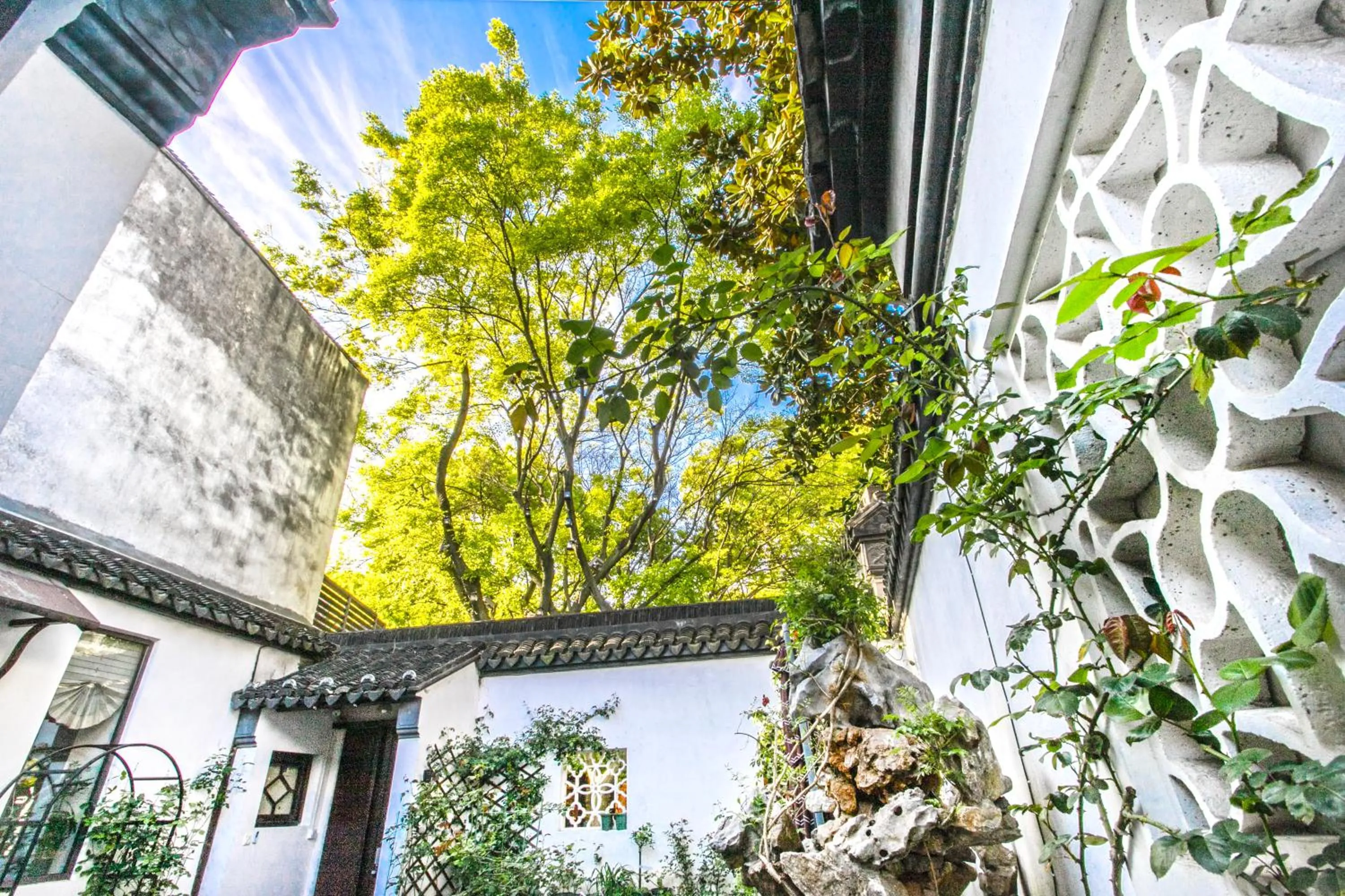 Garden view in Tongli 1917 Best South Inn